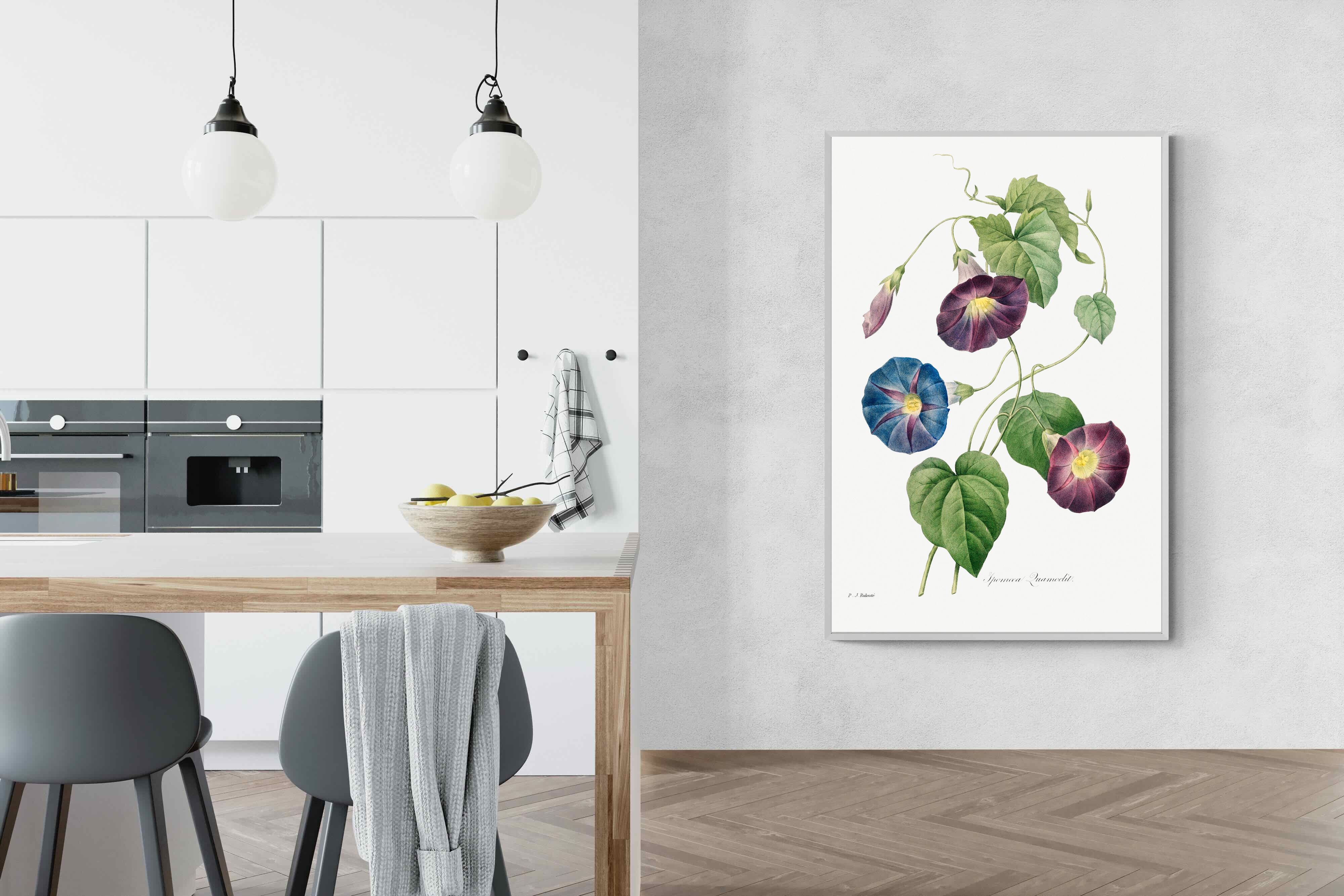 Pixalot Morning Glory Study