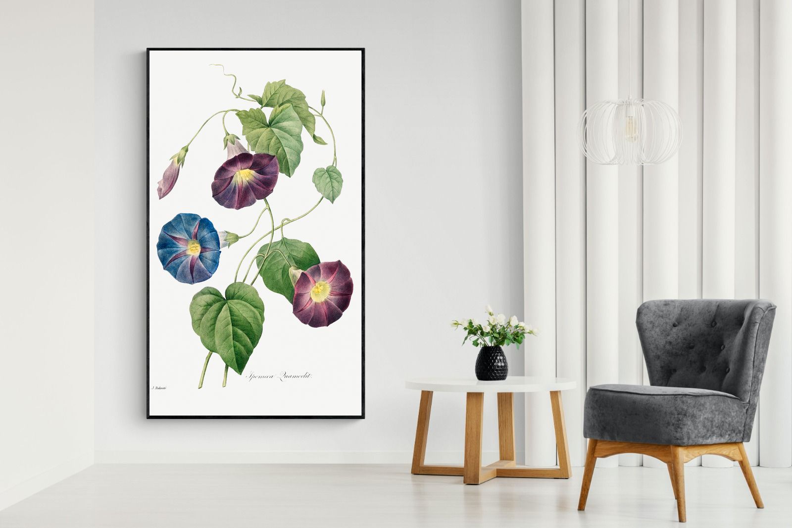 Pixalot Morning Glory Study