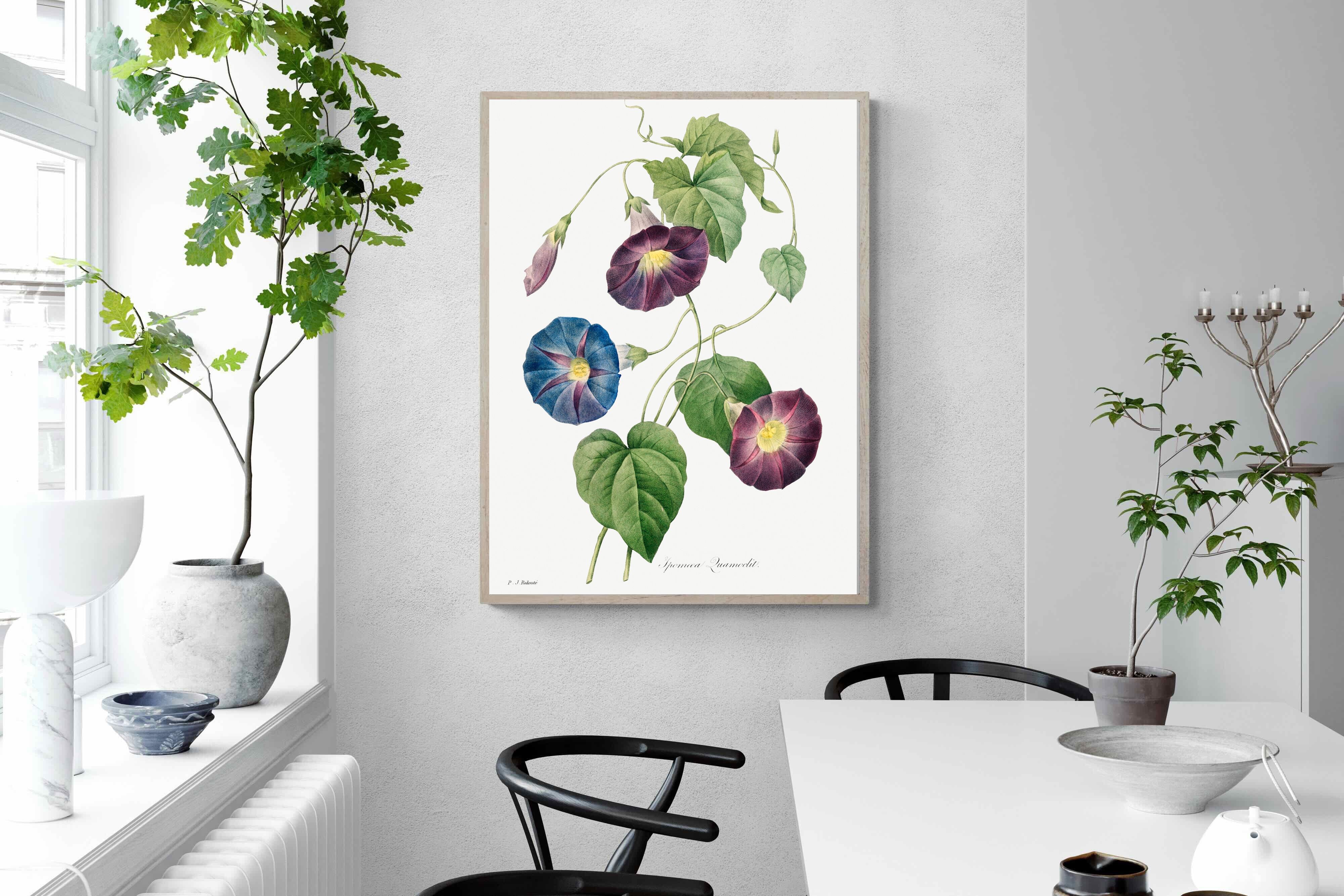 Pixalot Morning Glory Study