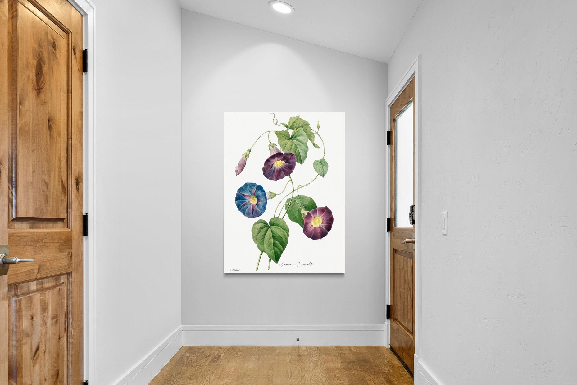 Pixalot Morning Glory Study