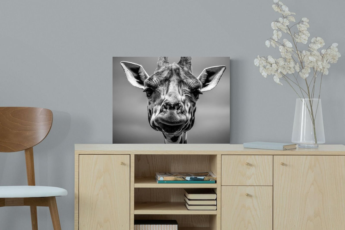 Pixalot ® Mr Giraffe