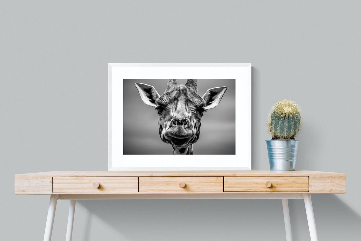 Pixalot ® Mr Giraffe