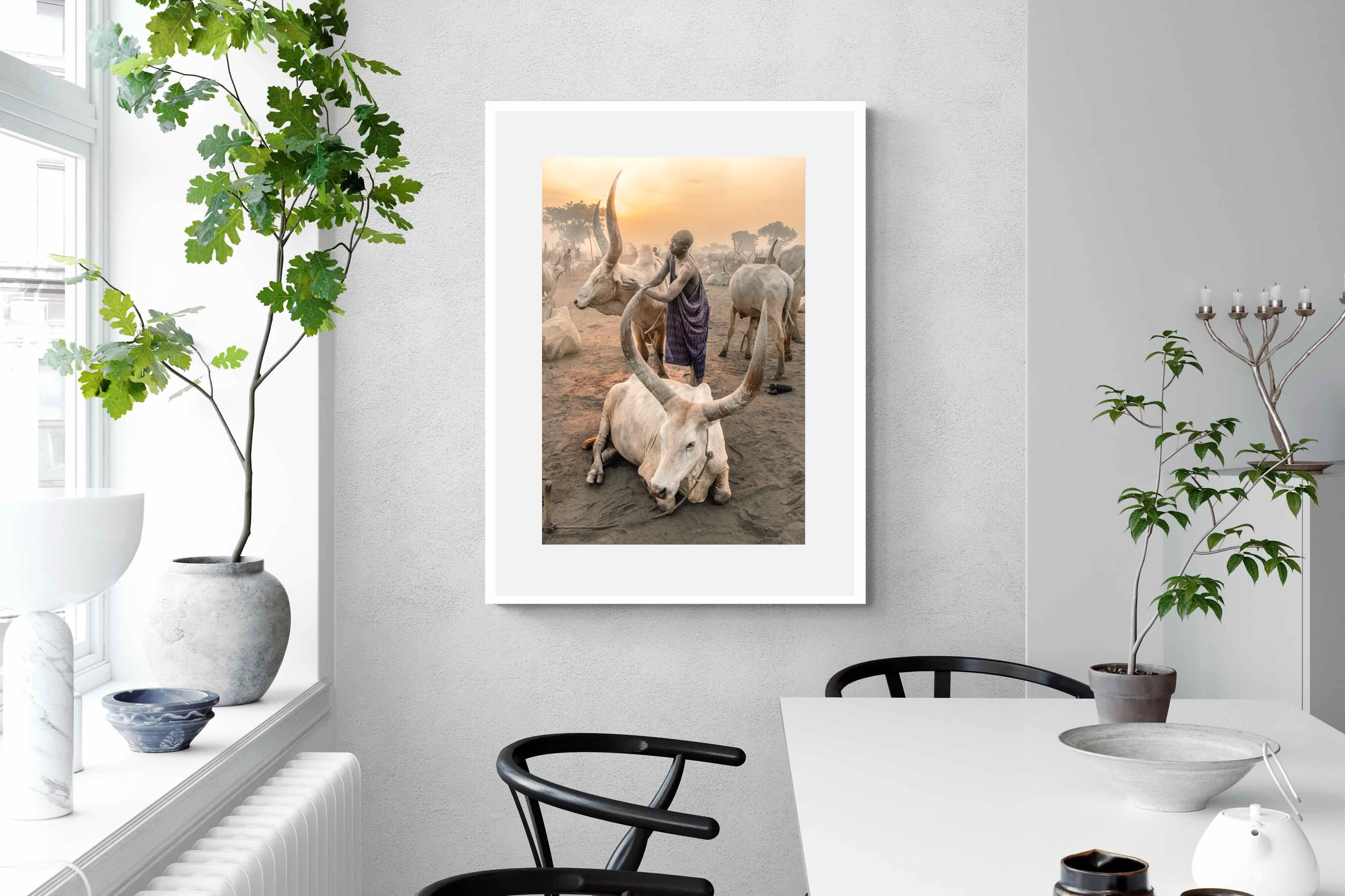 Pixalot Mundari Dawn