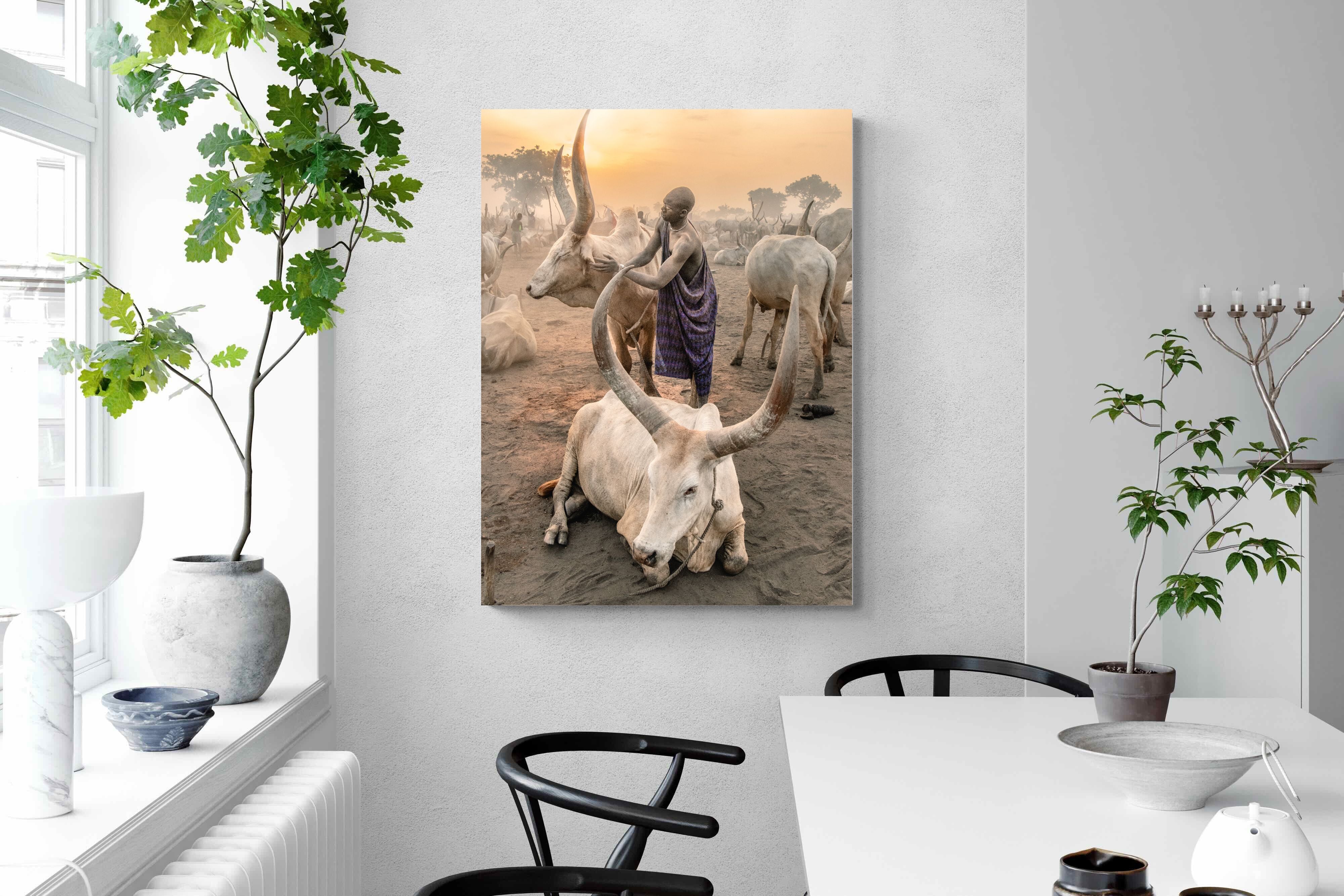 Pixalot Mundari Dawn