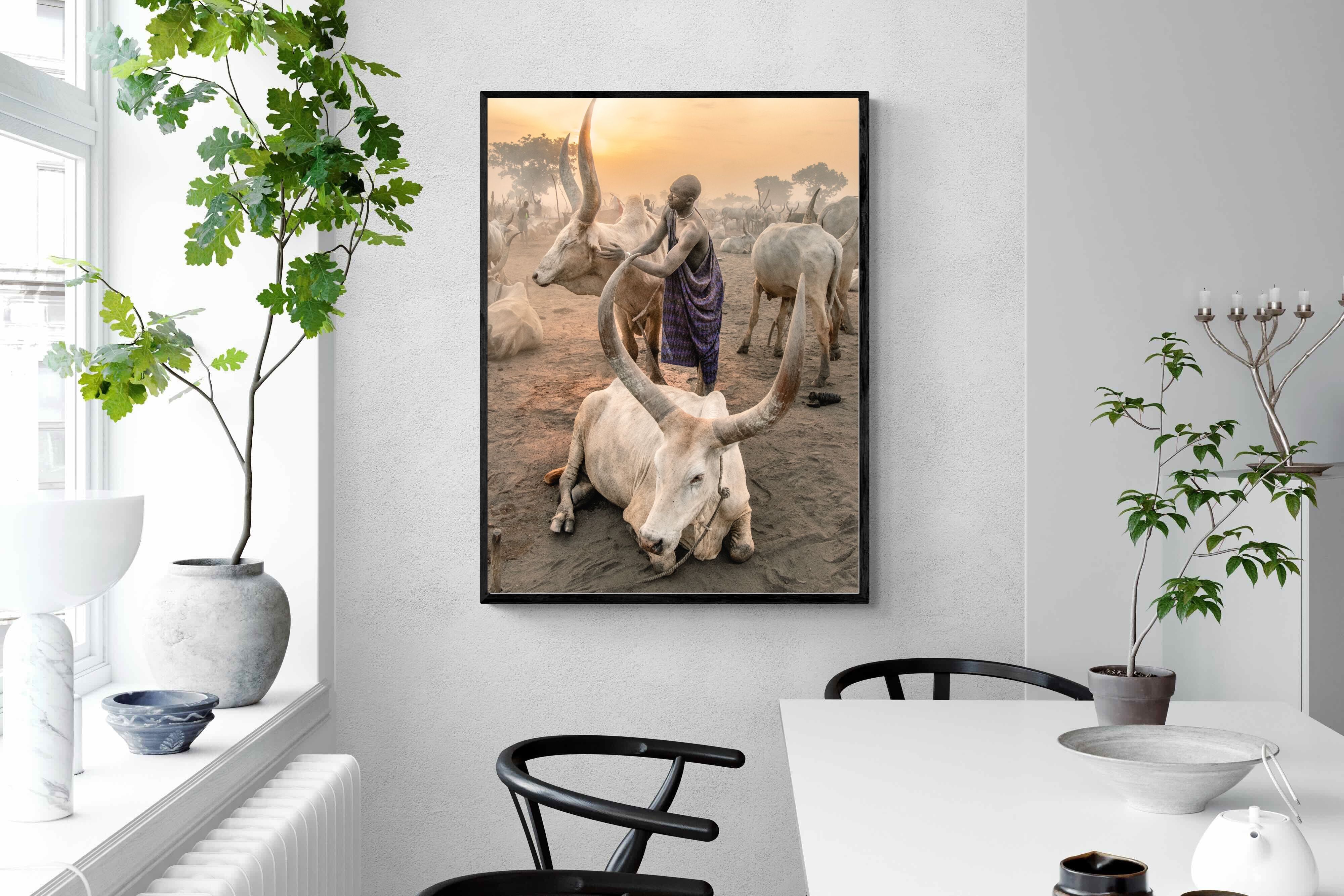 Pixalot Mundari Dawn