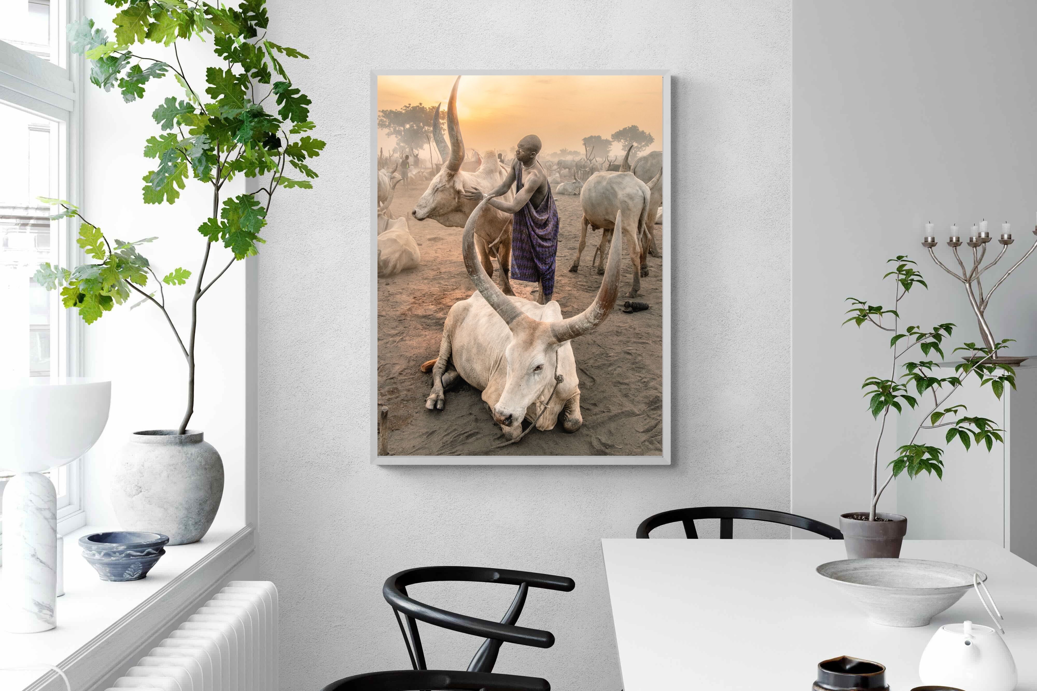 Pixalot Mundari Dawn