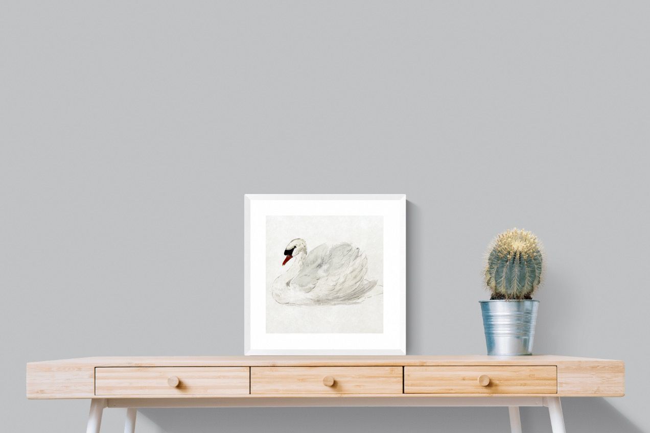 Pixalot Mute Swan
