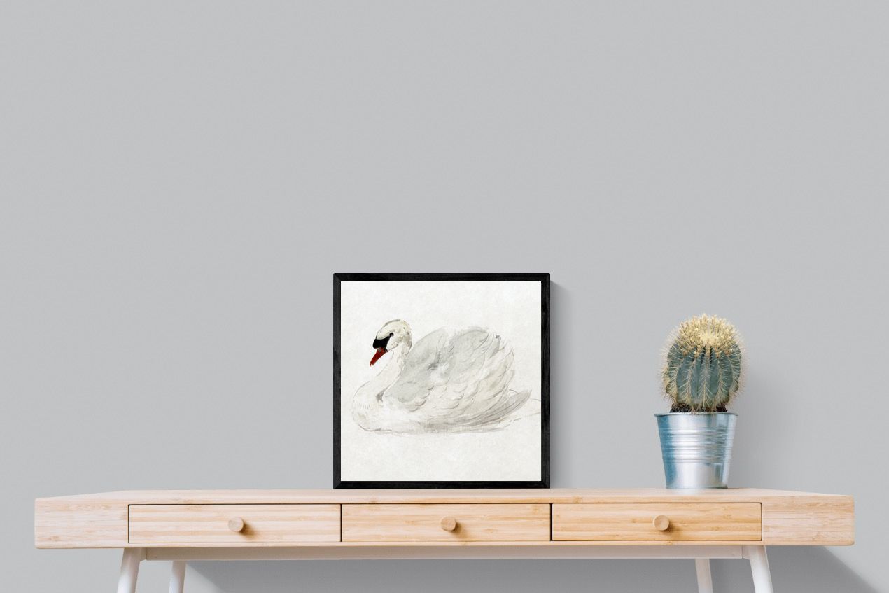 Pixalot Mute Swan