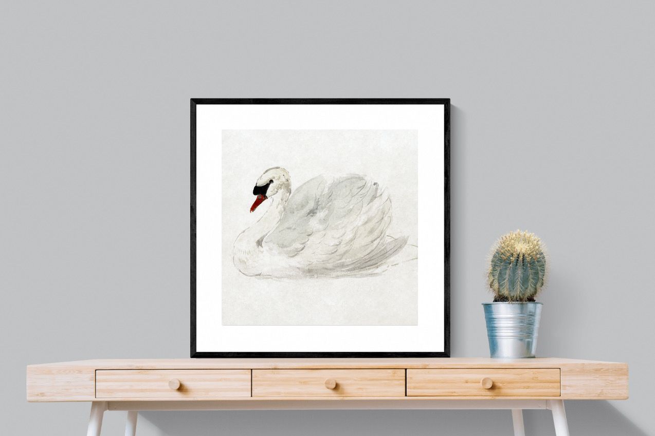Pixalot Mute Swan