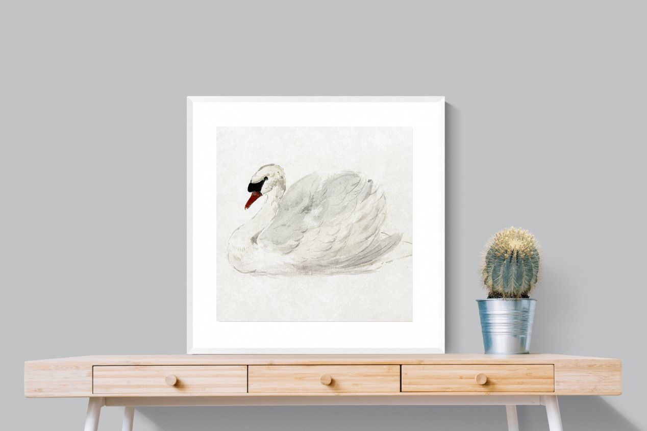 Pixalot Mute Swan
