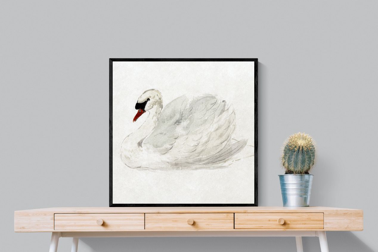 Pixalot Mute Swan