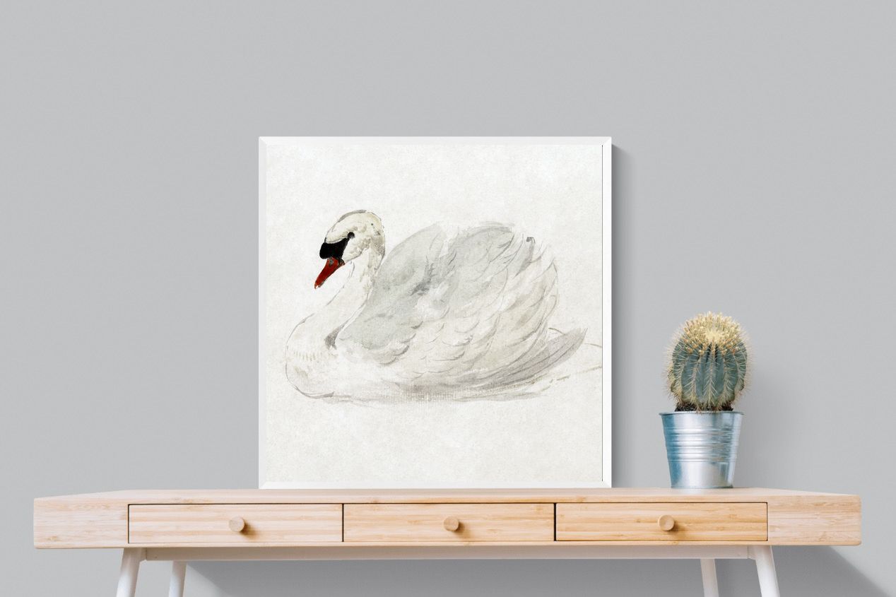 Pixalot Mute Swan