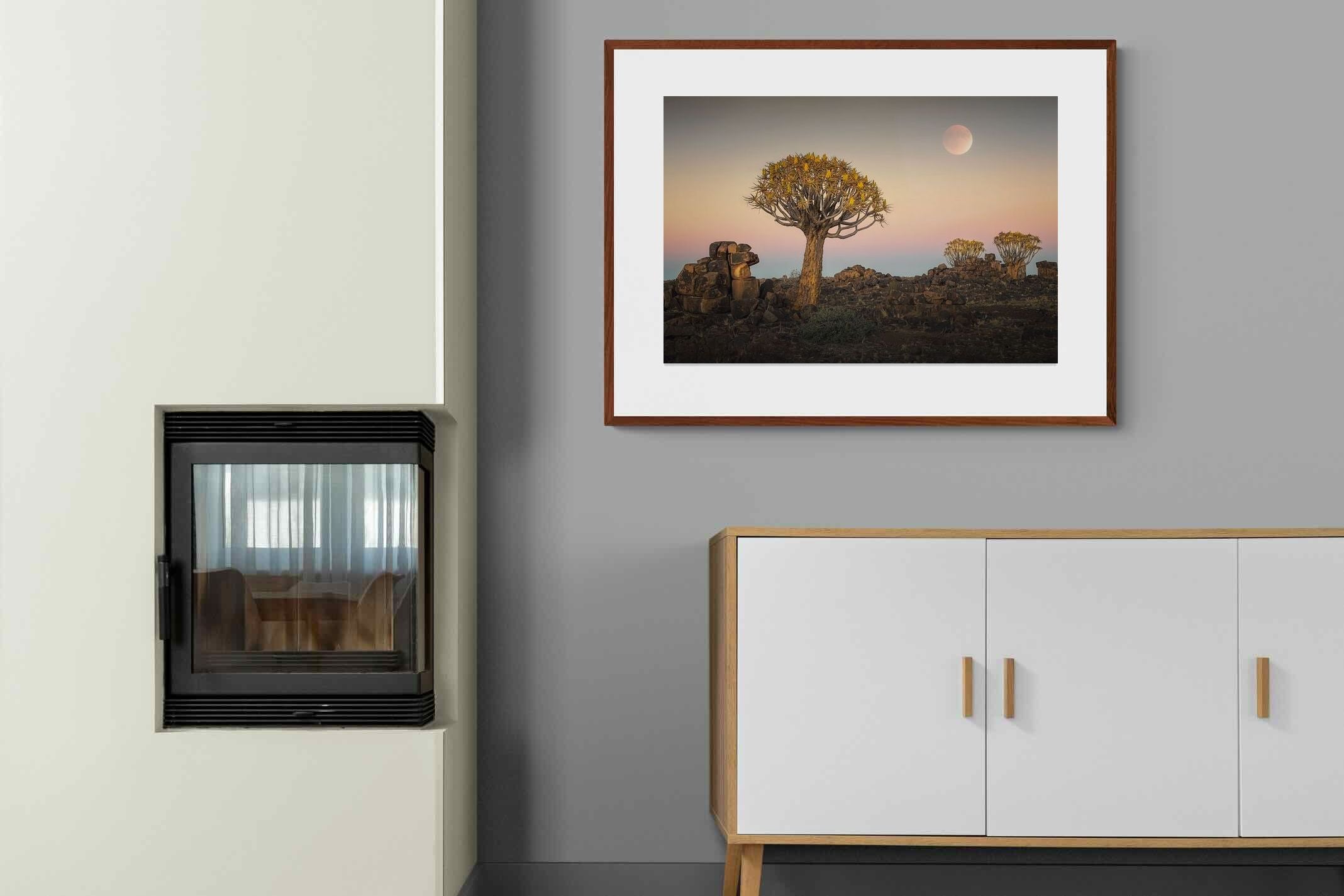 Pixalot ® Namibian Quiver Trees