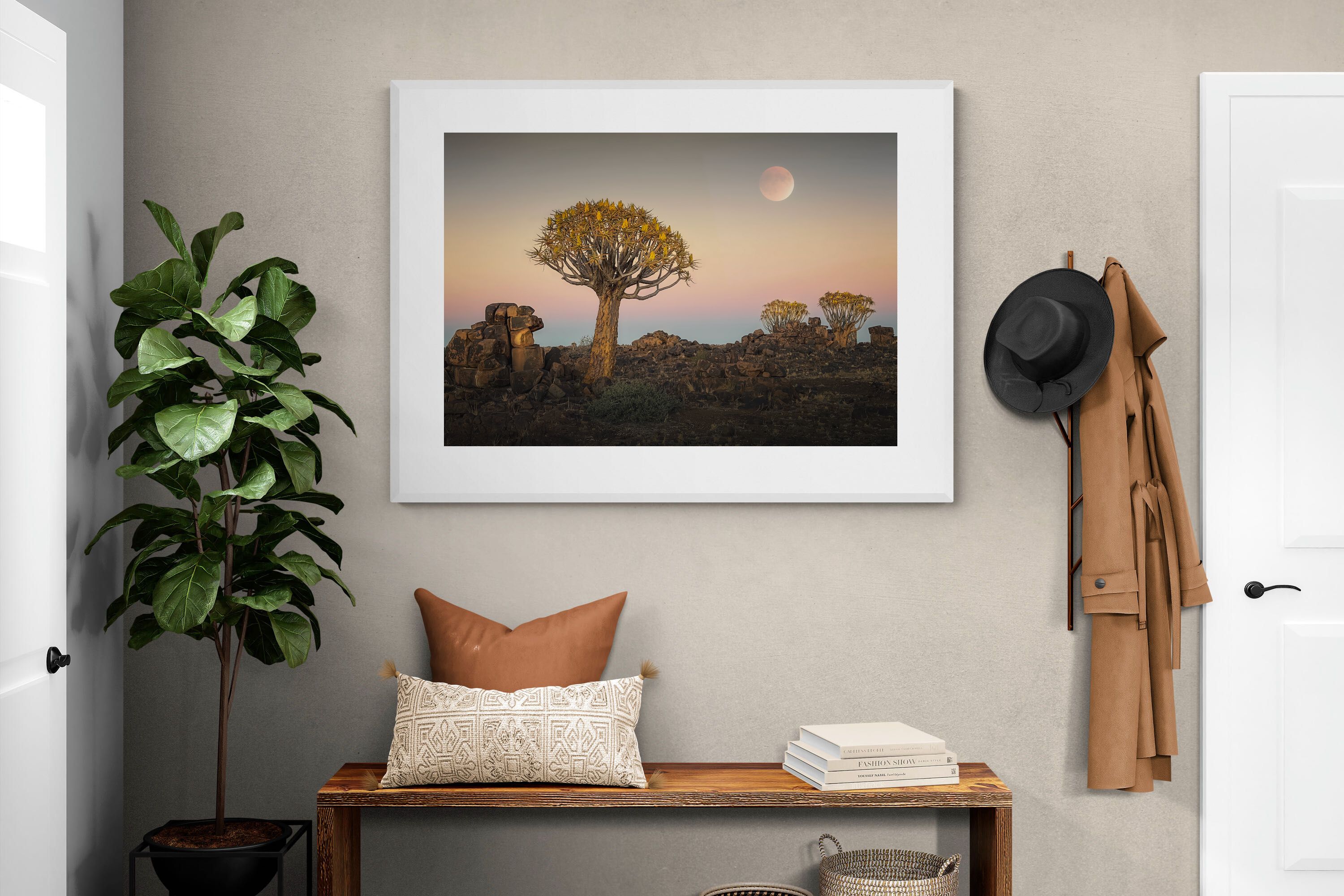 Pixalot Namibian Quiver Trees