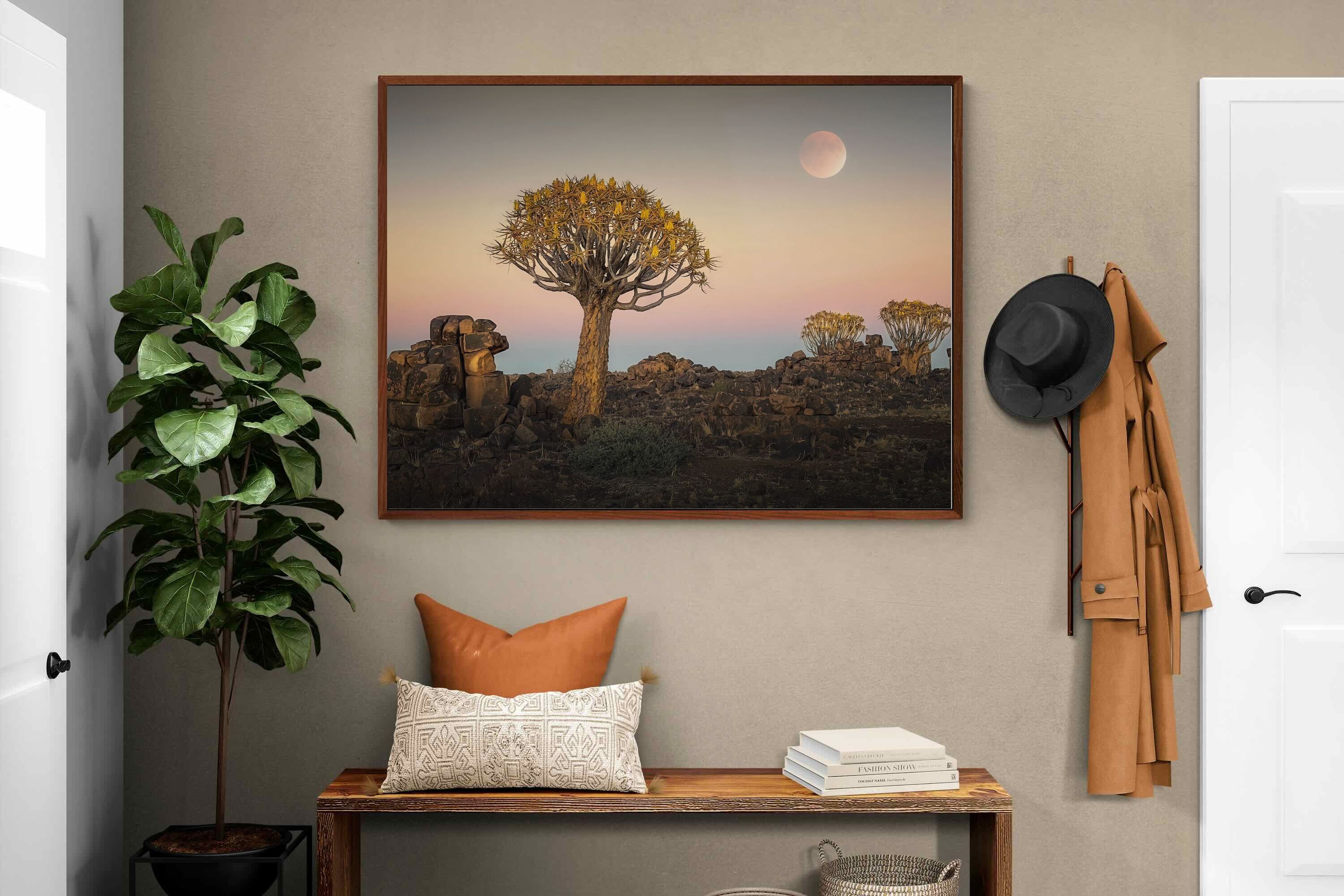 Pixalot ® Namibian Quiver Trees