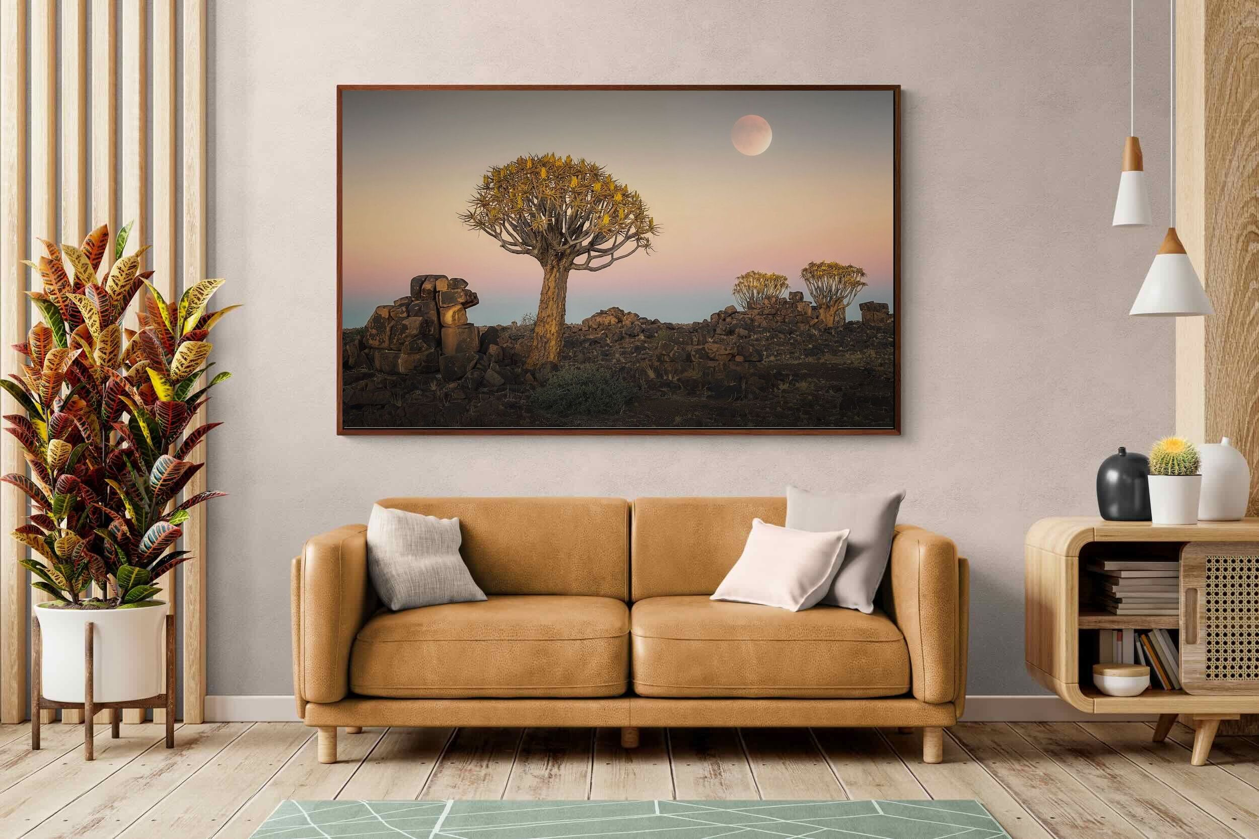 Pixalot ® Namibian Quiver Trees