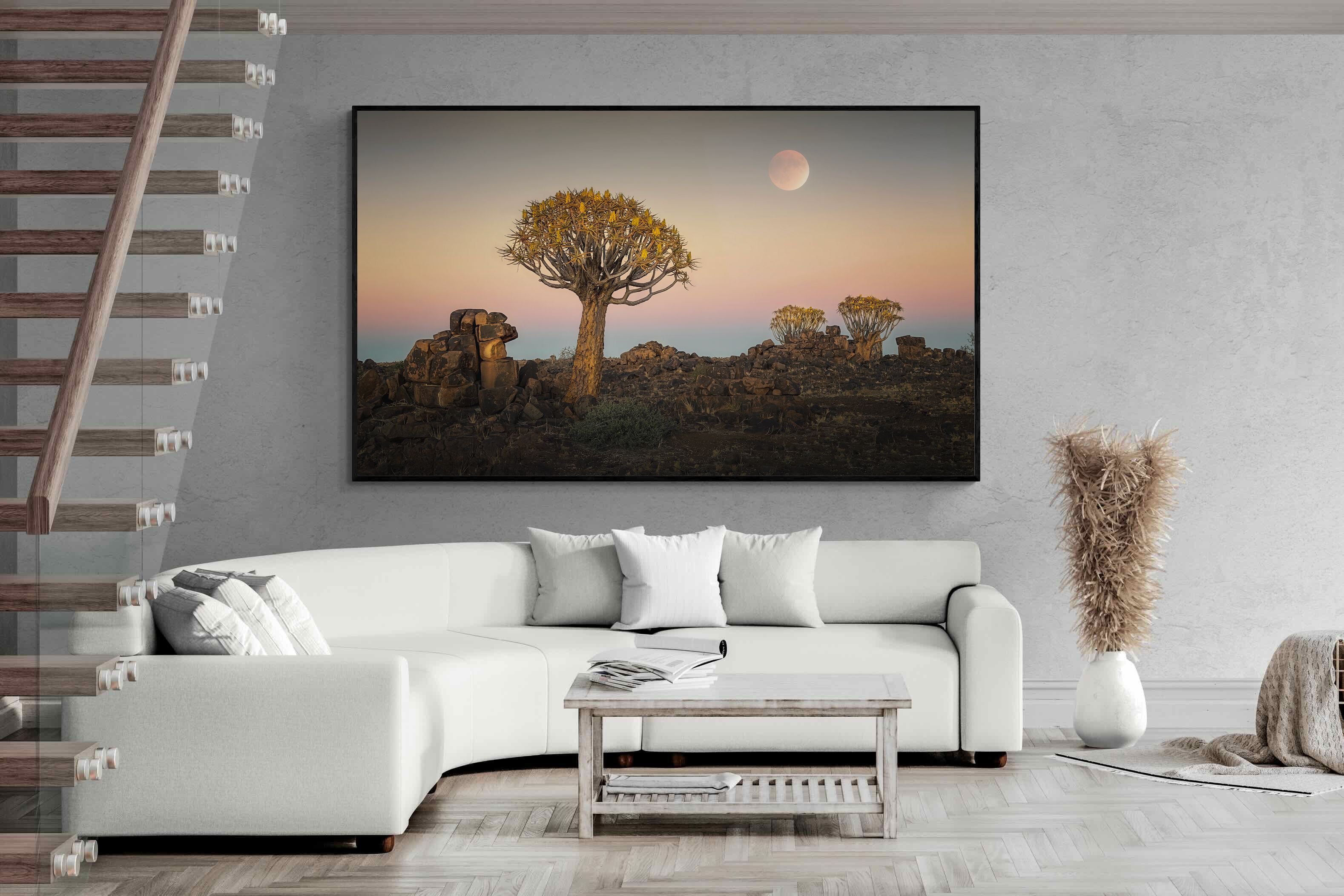 Pixalot Namibian Quiver Trees