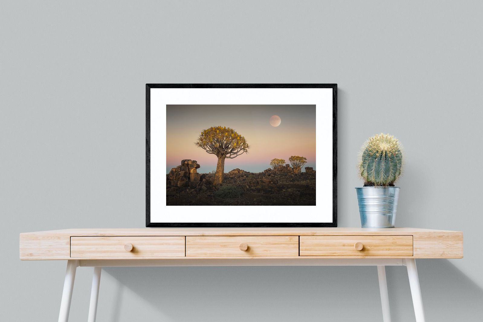 Pixalot Namibian Quiver Trees