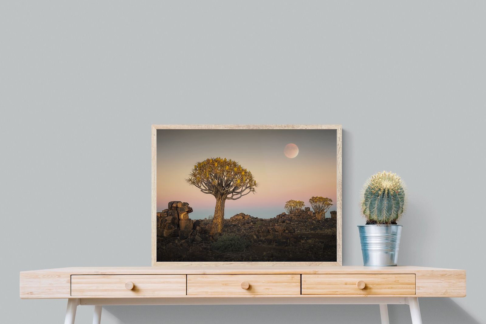 Pixalot Namibian Quiver Trees