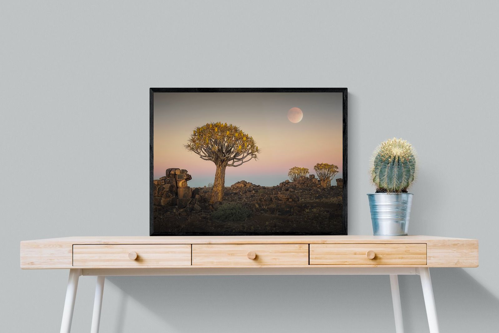 Pixalot Namibian Quiver Trees