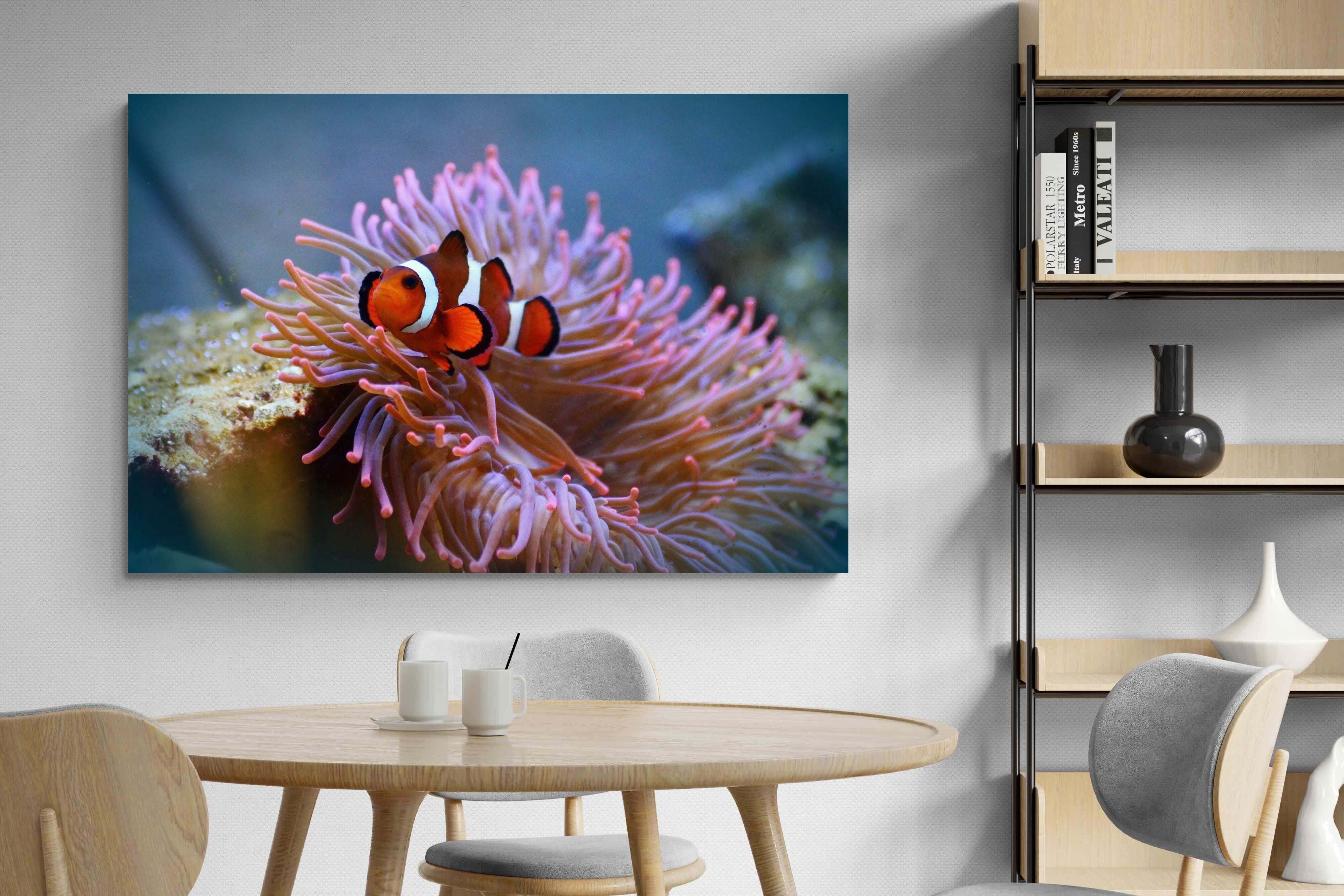 Pixalot Nemo