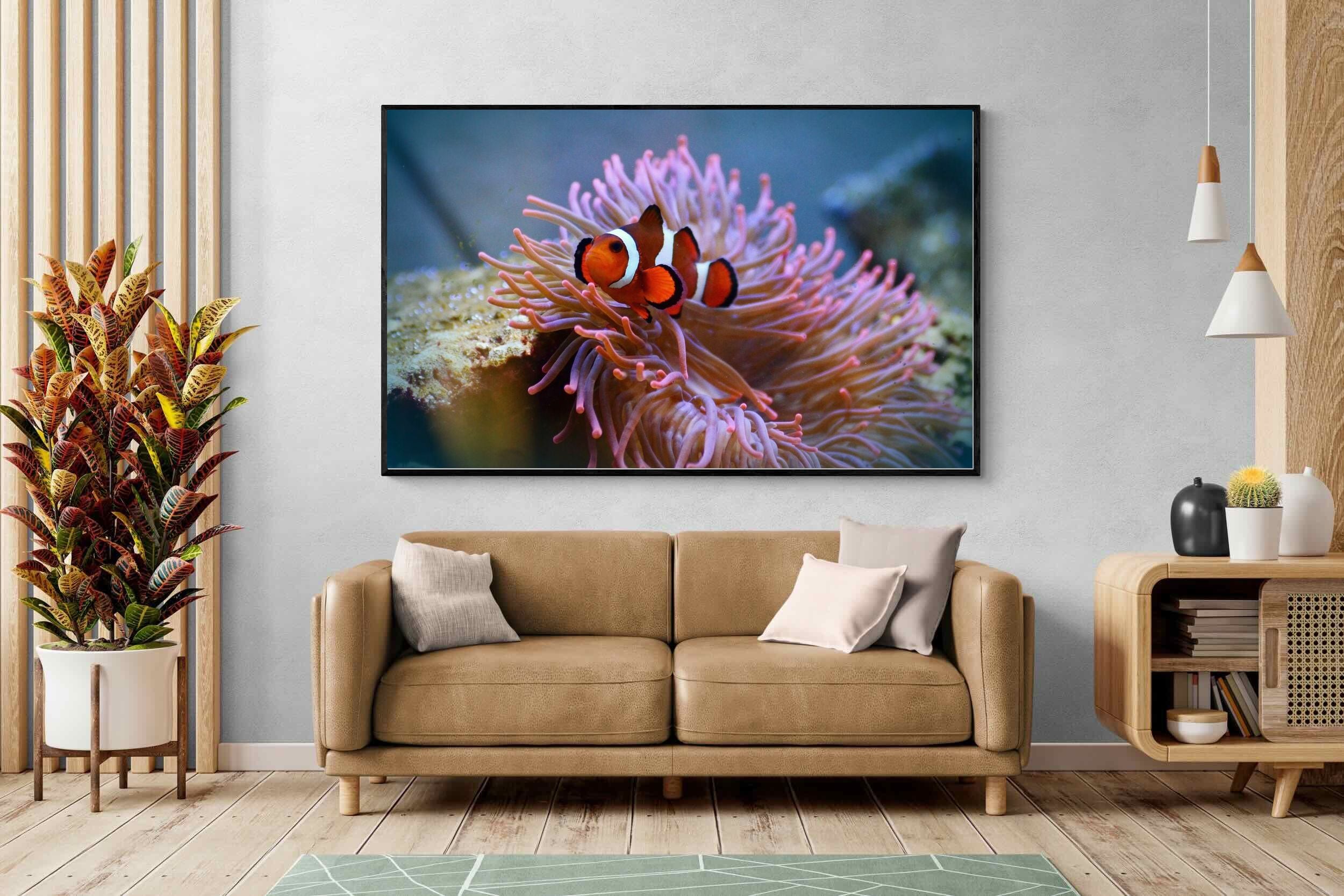 Pixalot Nemo