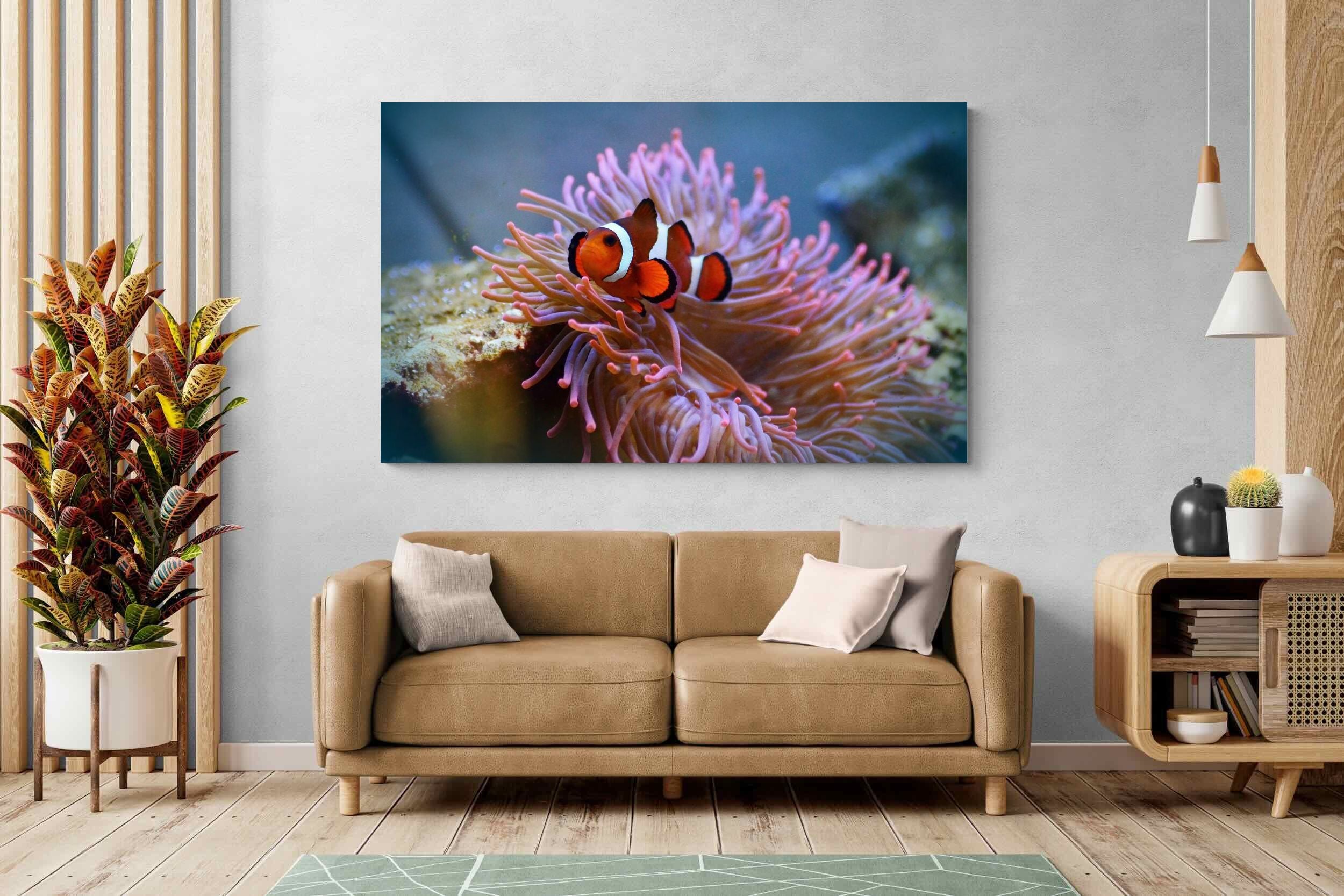 Pixalot Nemo