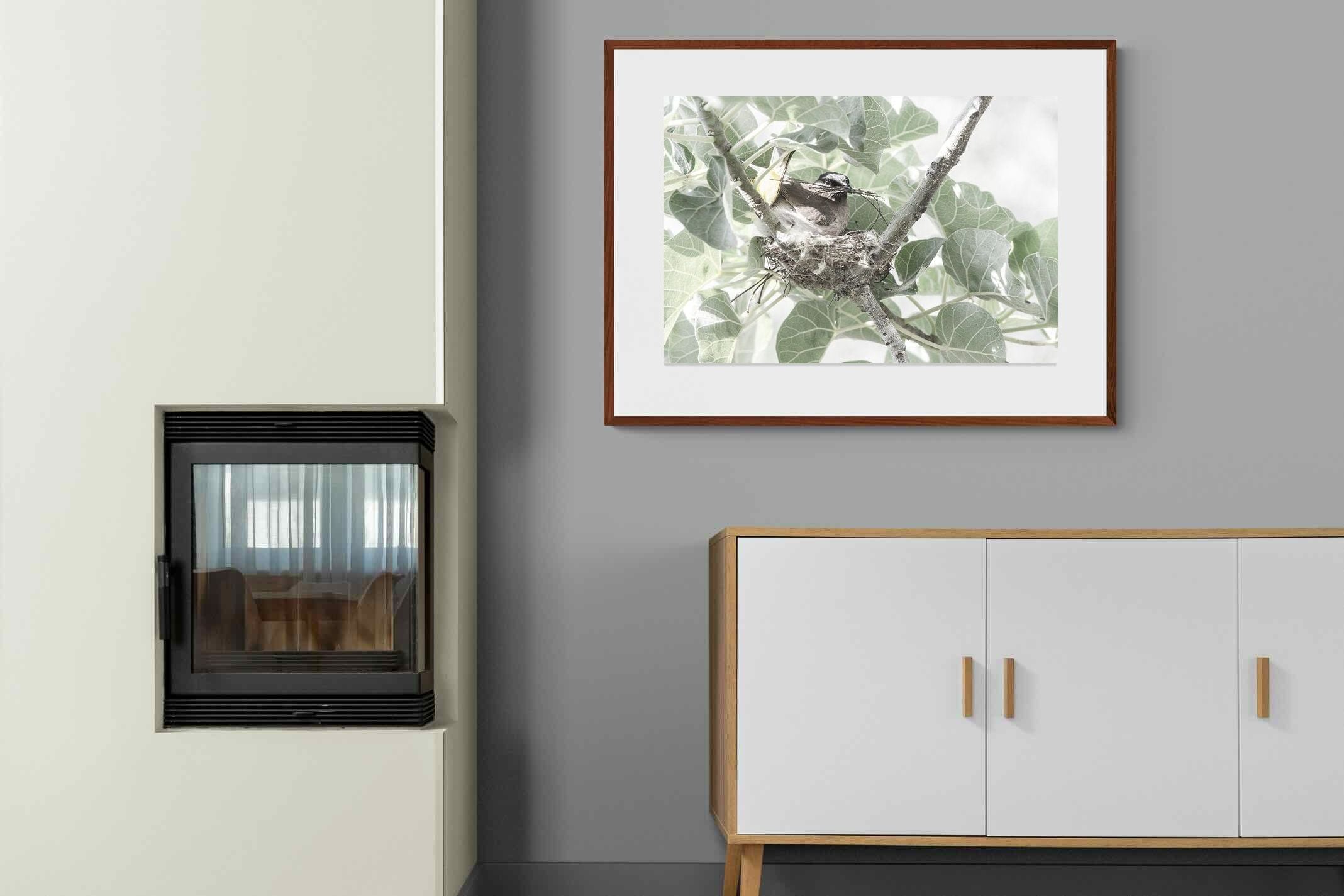 Pixalot Nesting Bulbul