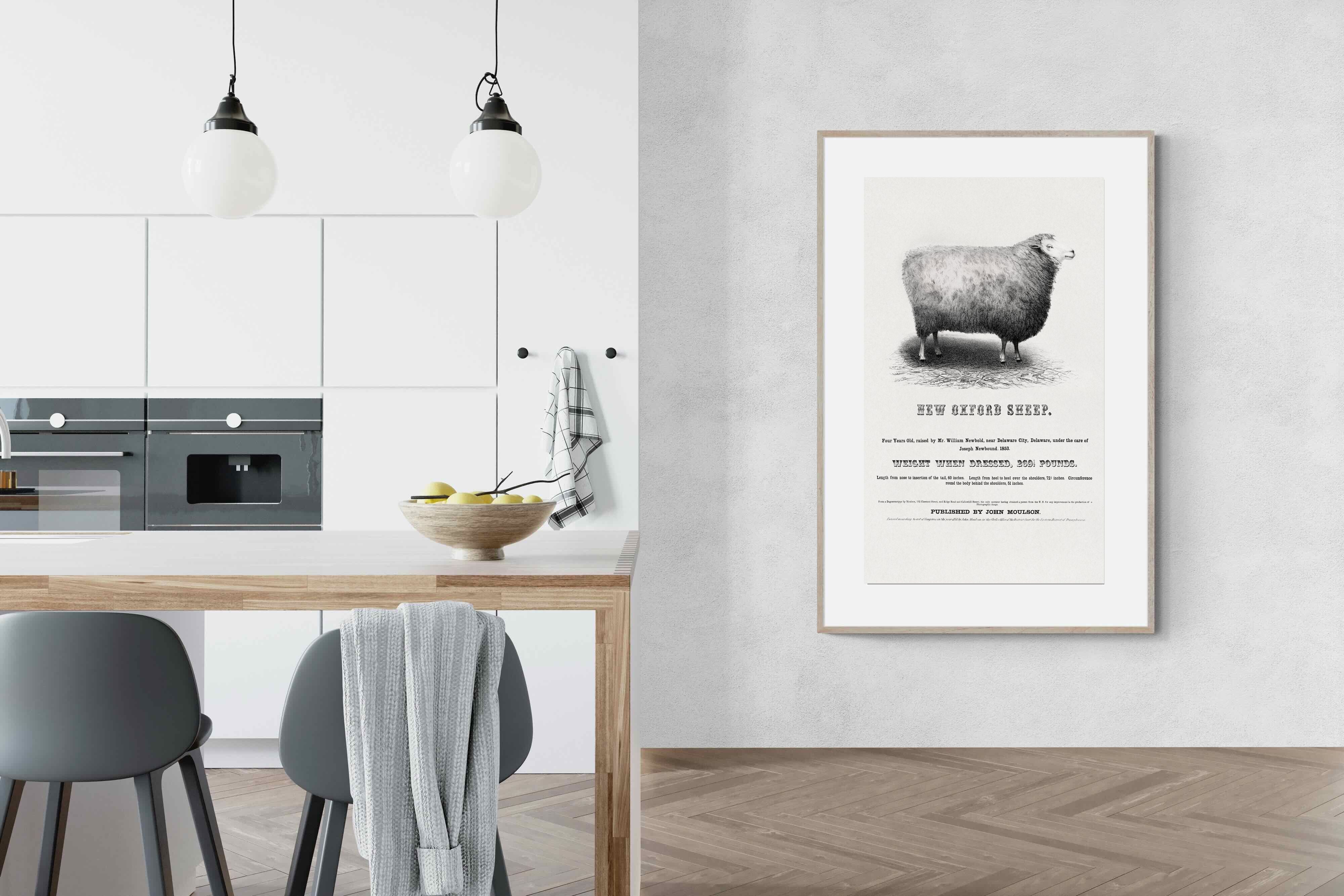 Pixalot New Oxford Sheep