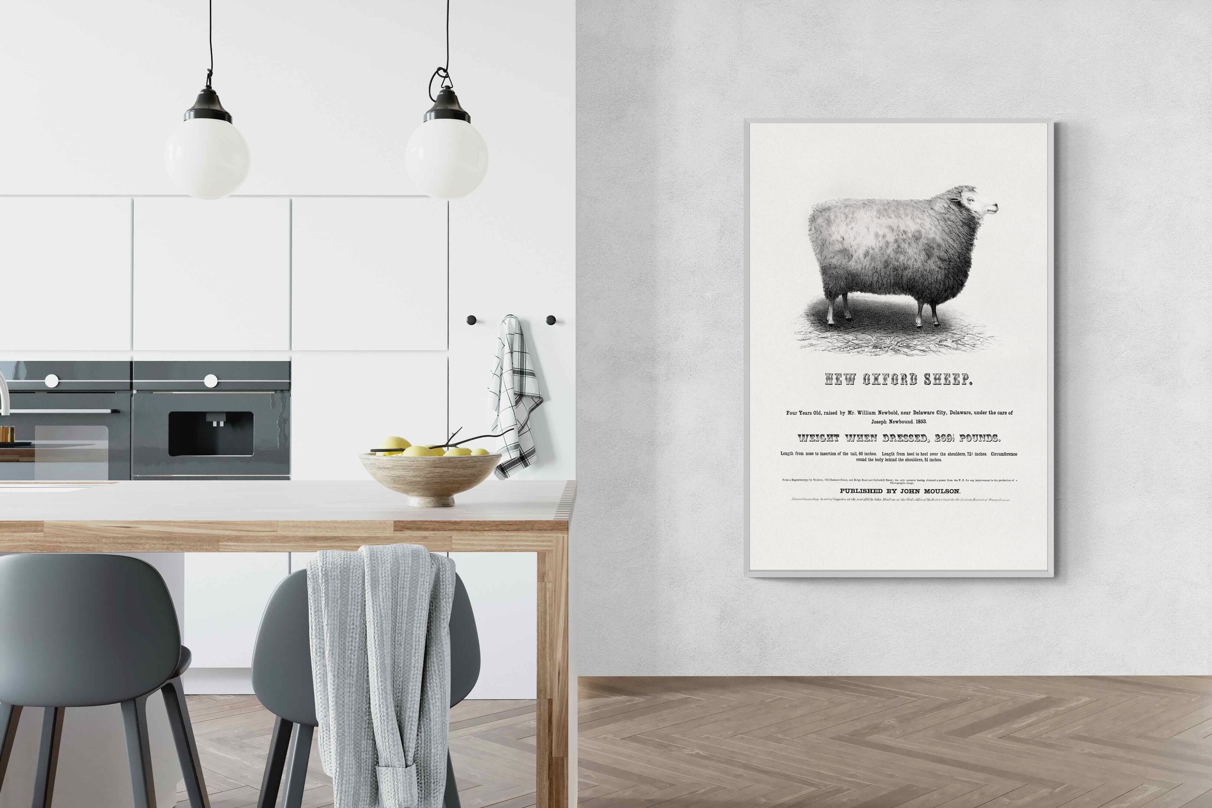 Pixalot New Oxford Sheep