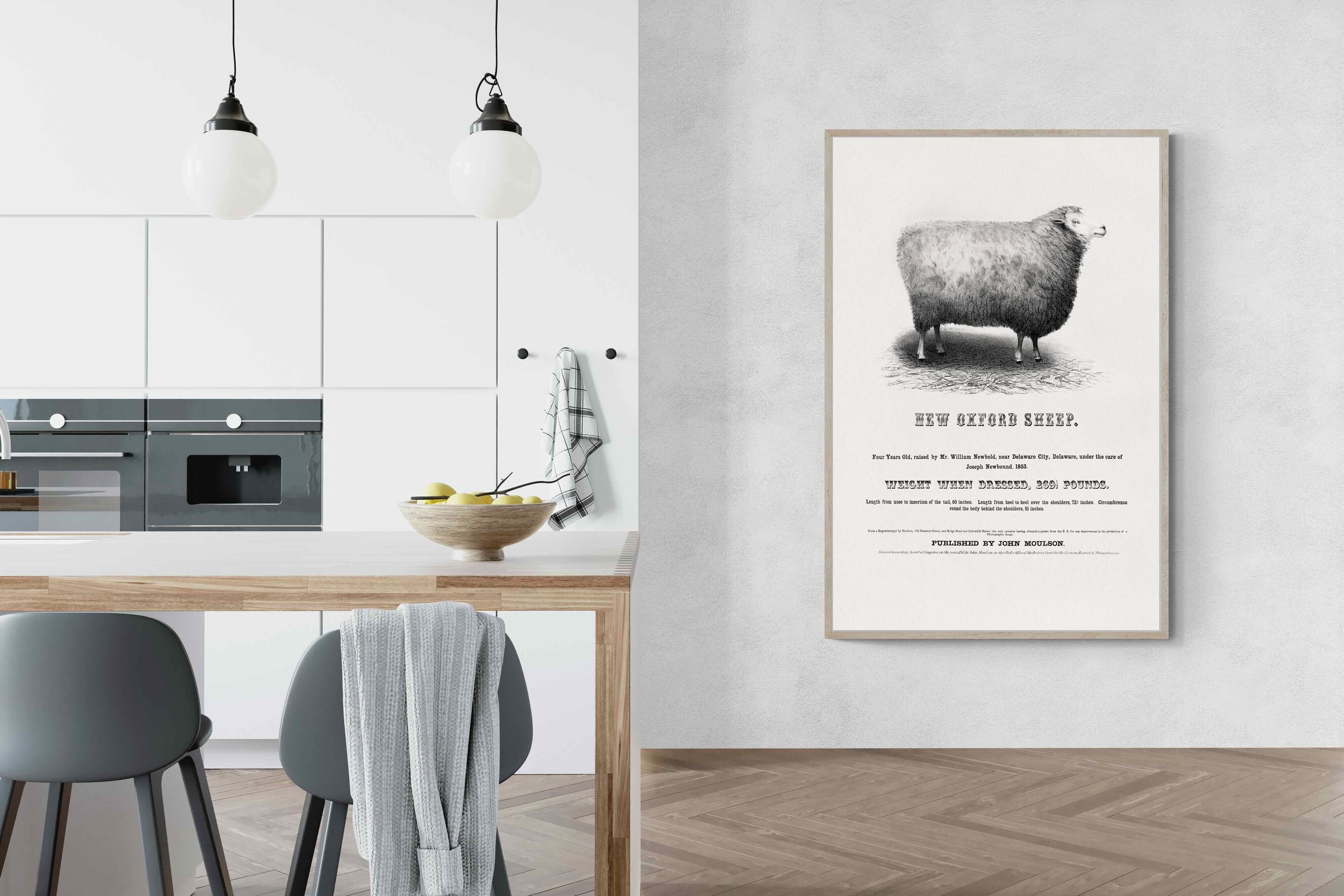 Pixalot New Oxford Sheep