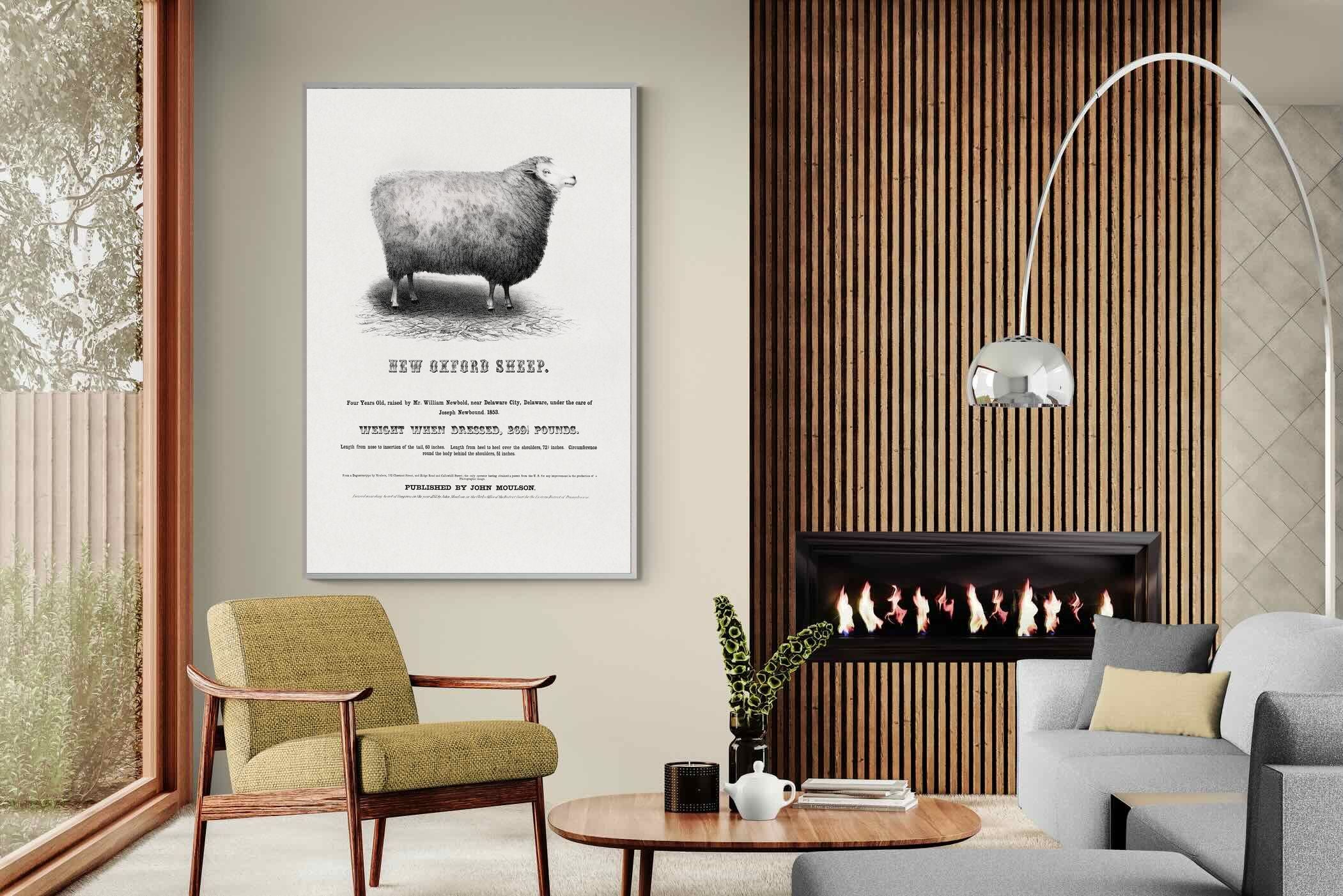 Pixalot New Oxford Sheep