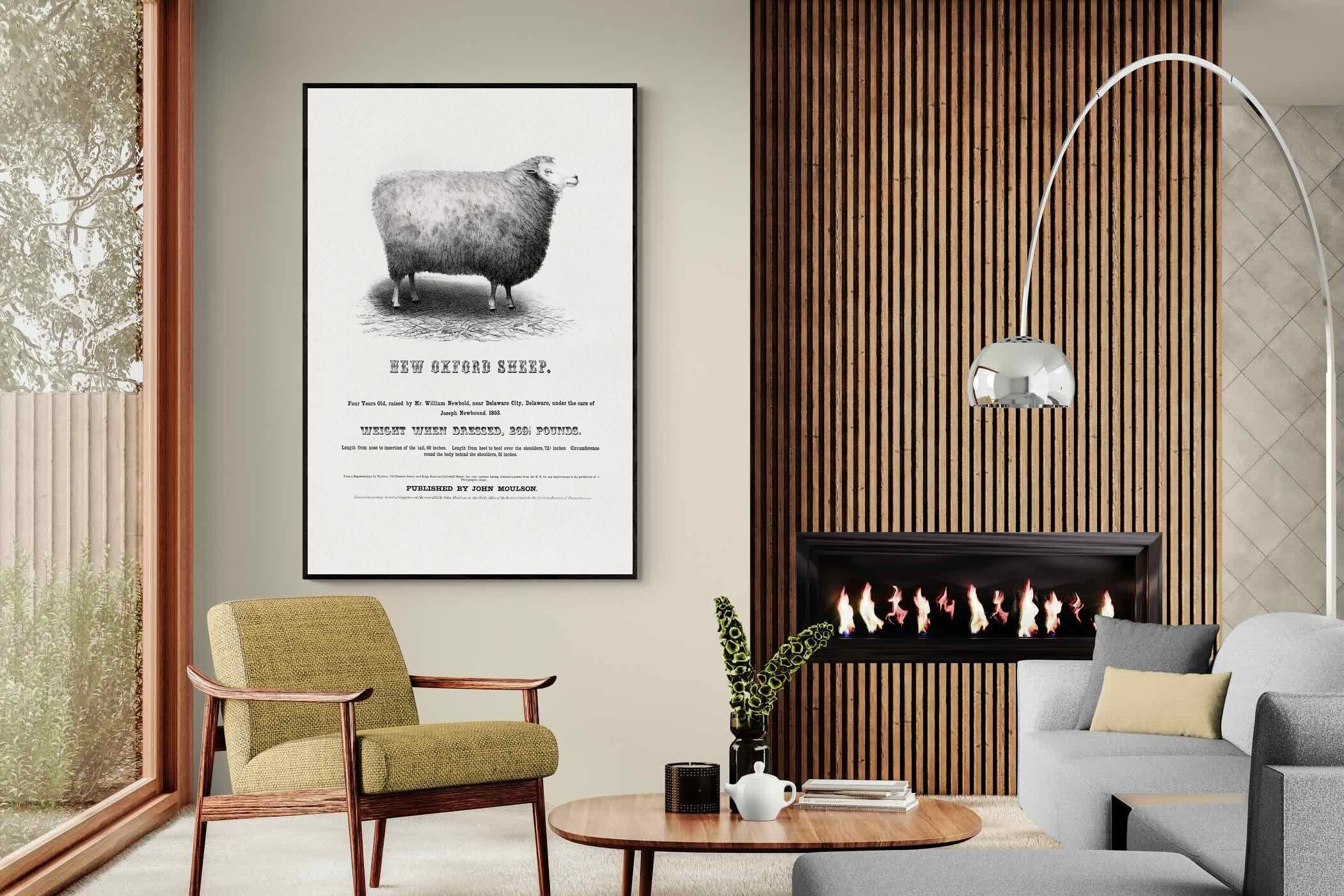 Pixalot New Oxford Sheep