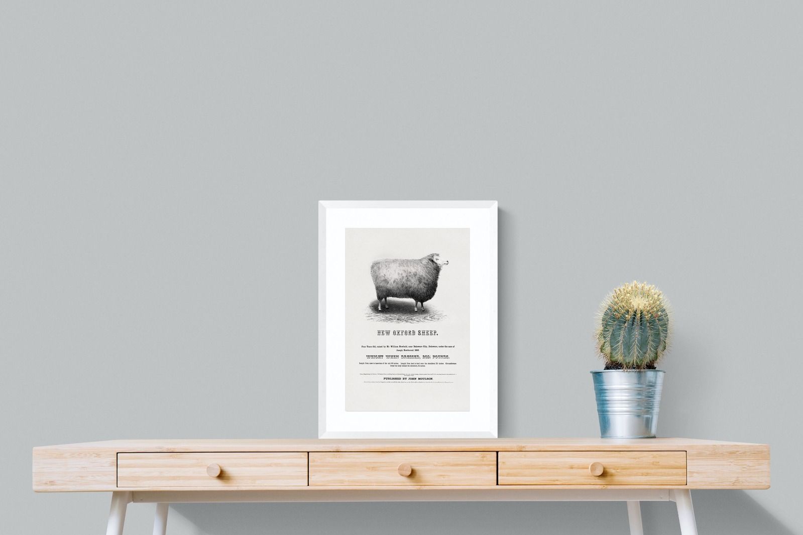 Pixalot New Oxford Sheep