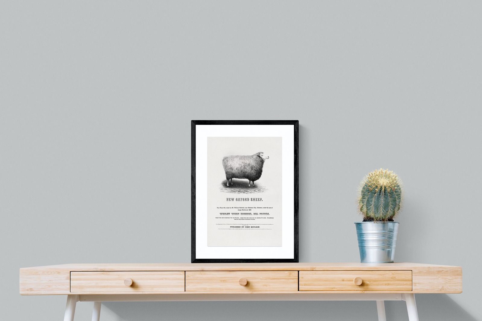 Pixalot New Oxford Sheep