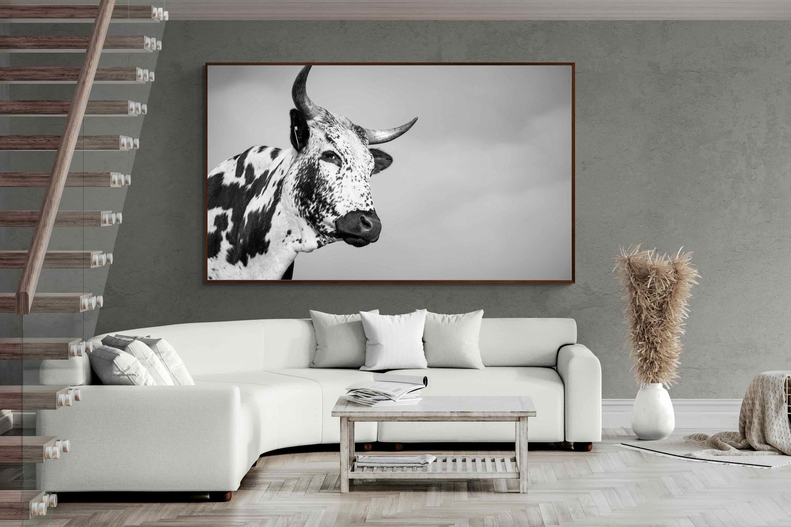 Pixalot ® Nguni Bull