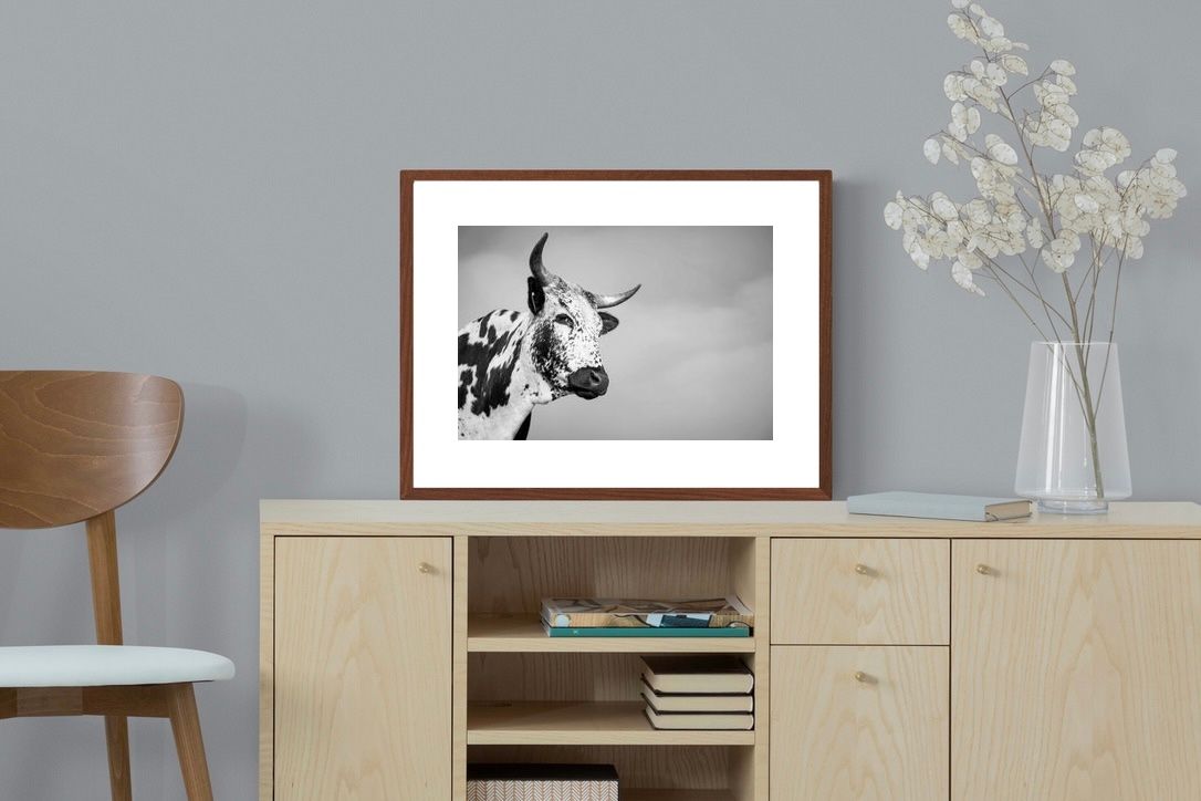 Pixalot ® Nguni Bull