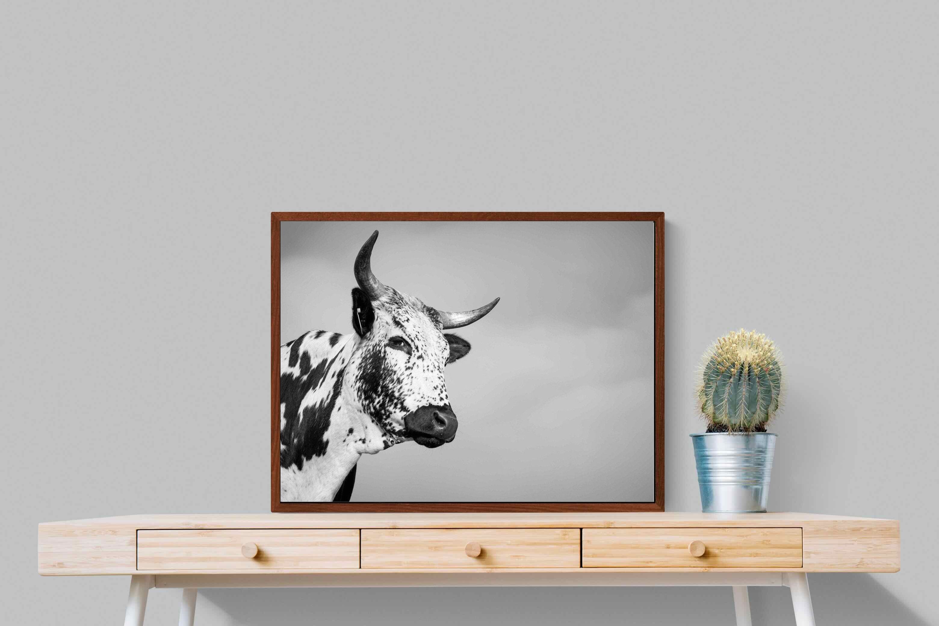 Pixalot ® Nguni Bull