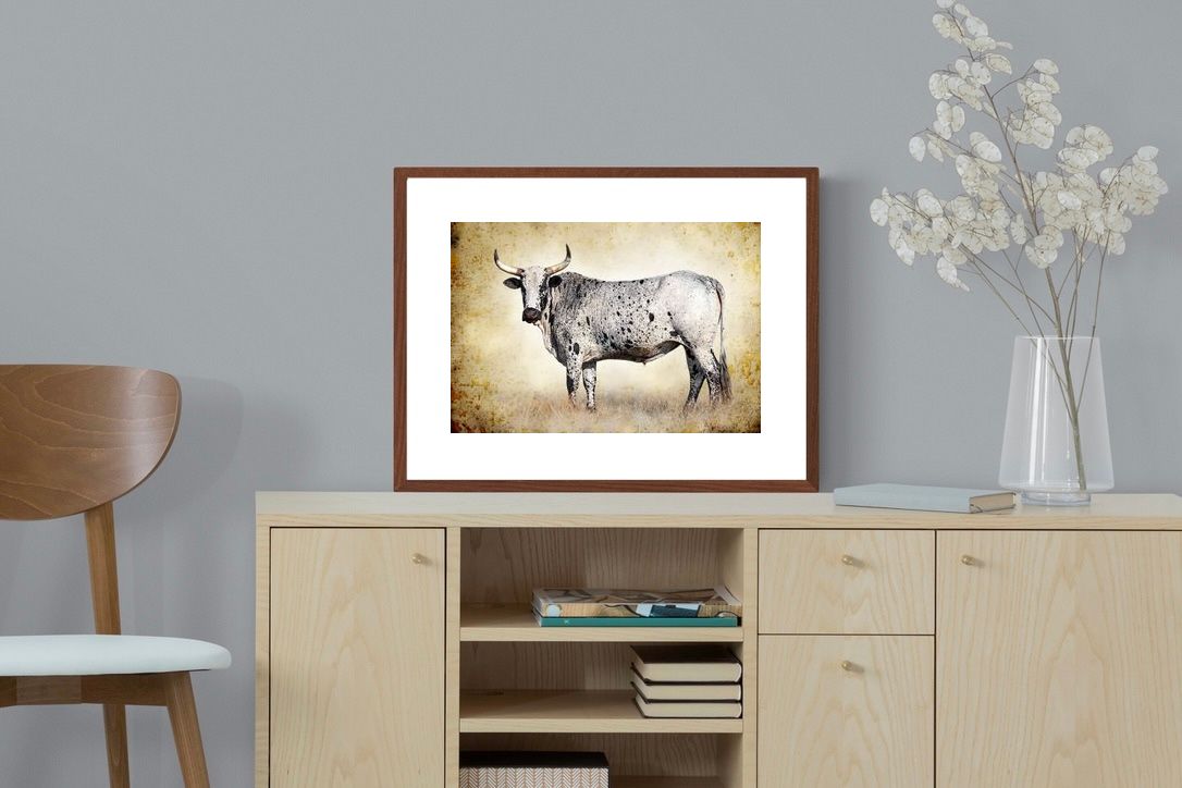 Pixalot ® Nguni Ox