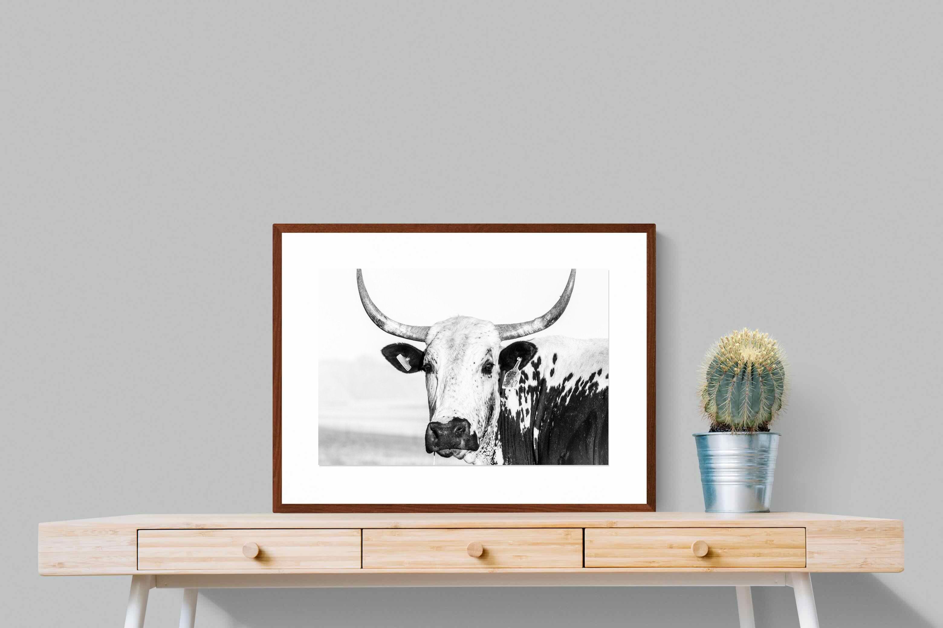 Pixalot ® Nguni