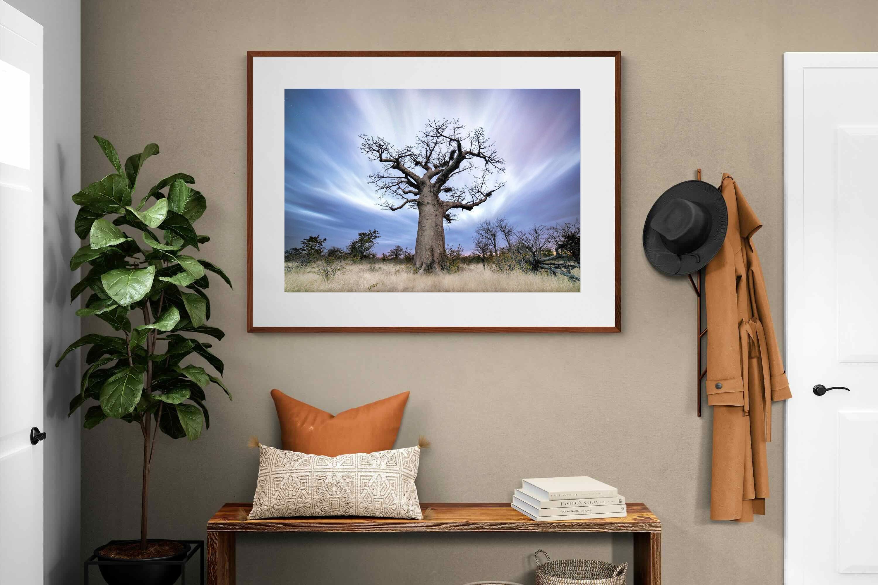 Pixalot ® Night Sky Baobab