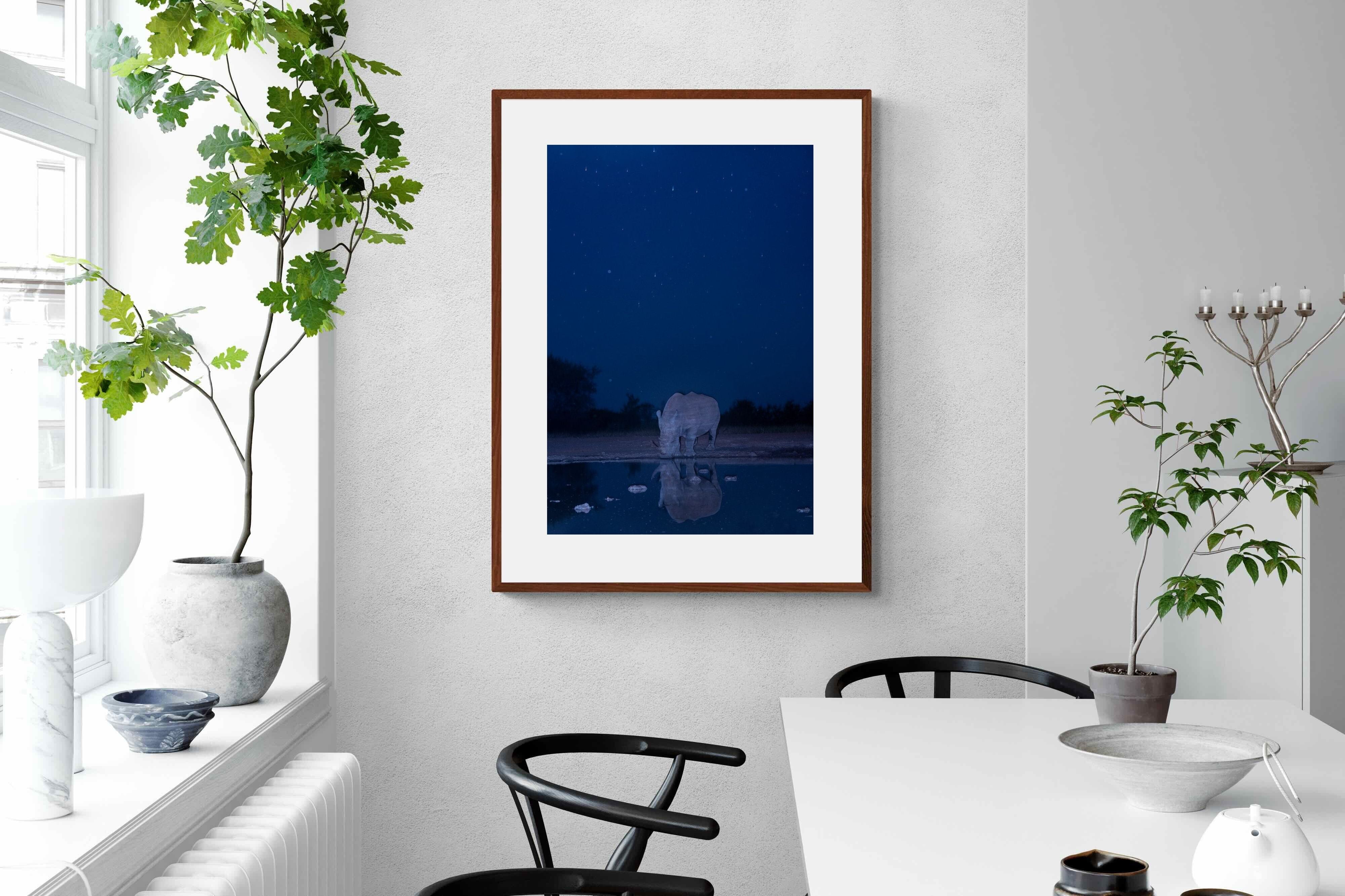 Pixalot Nocturnal Reflections