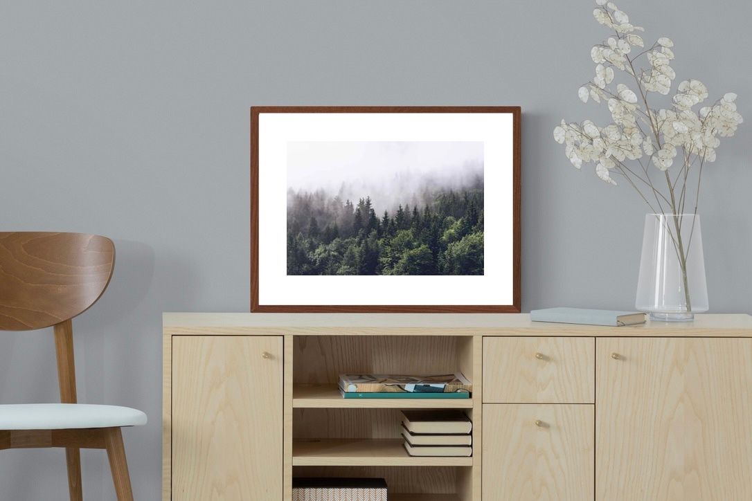Pixalot ® Norwegian Forest