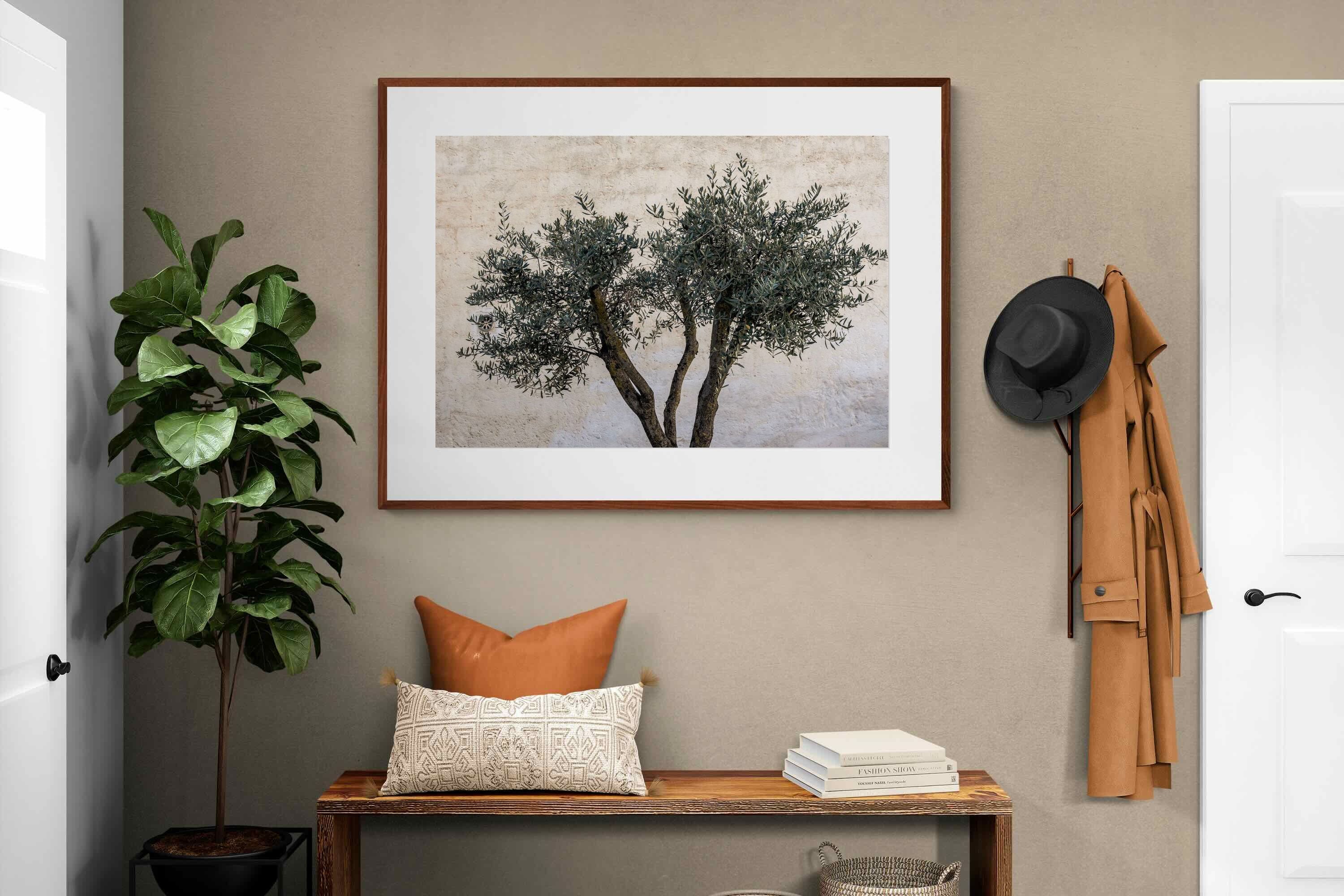 Pixalot Olive Trees Pair