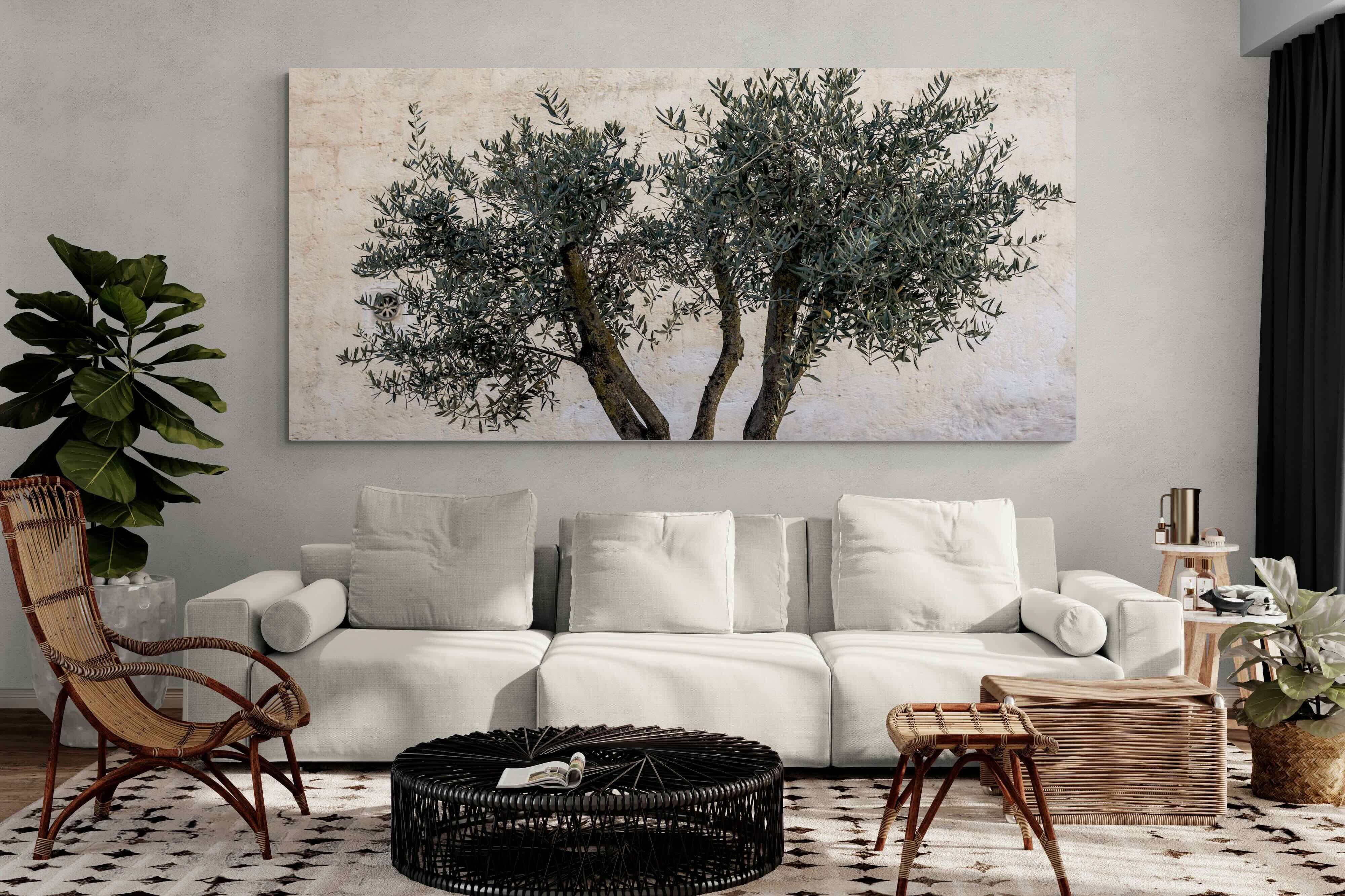 Pixalot Olive Trees Pair