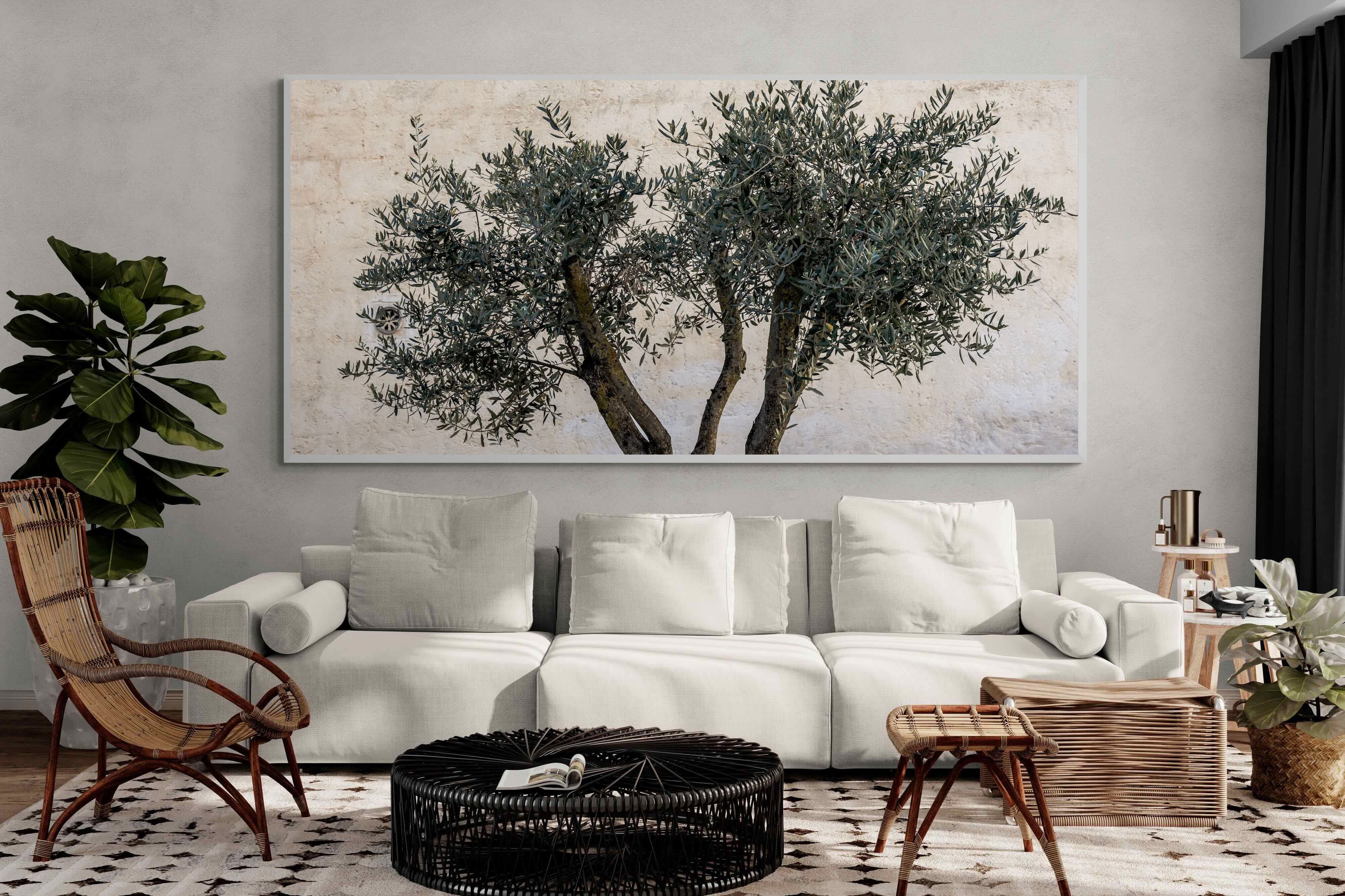 Pixalot Olive Trees Pair