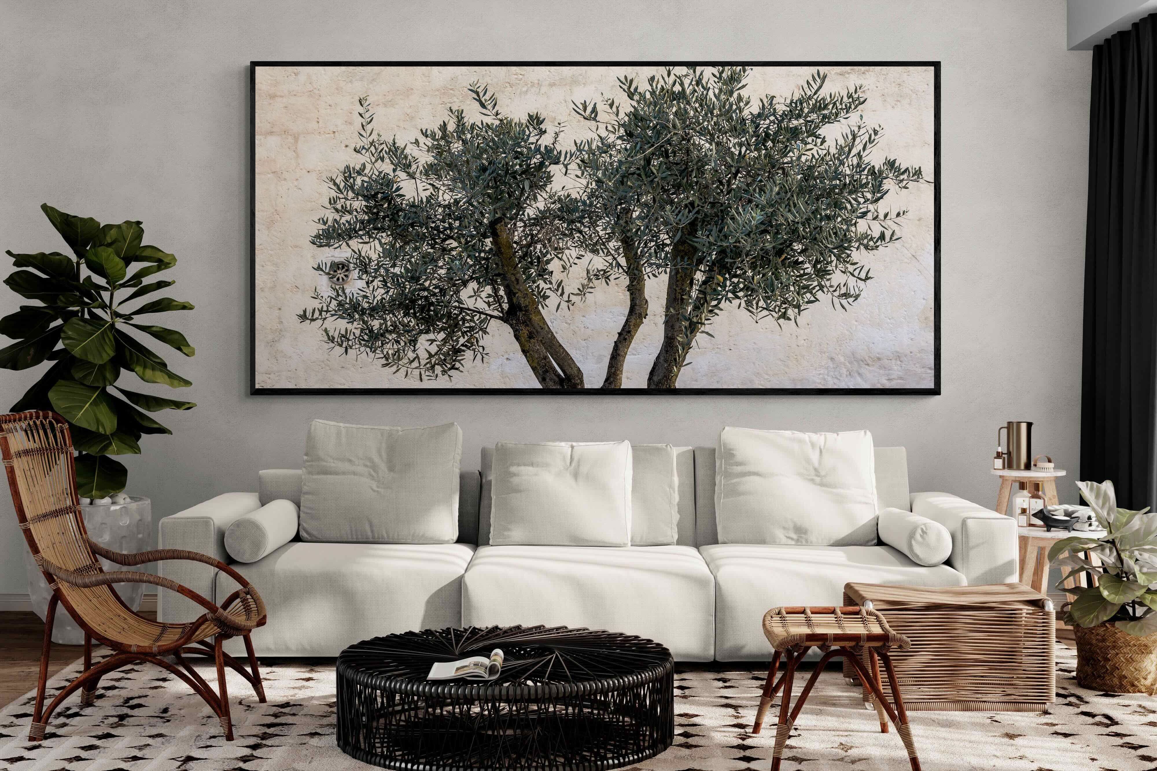 Pixalot Olive Trees Pair