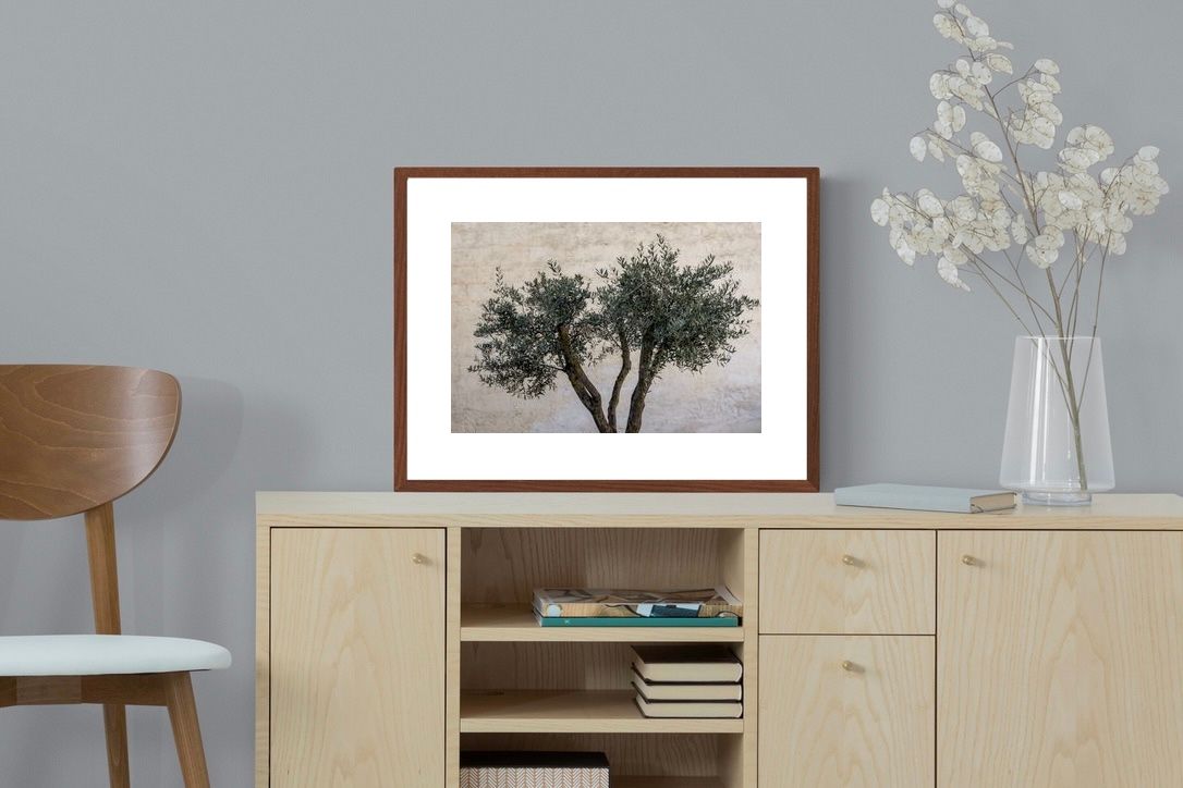 Pixalot Olive Trees Pair