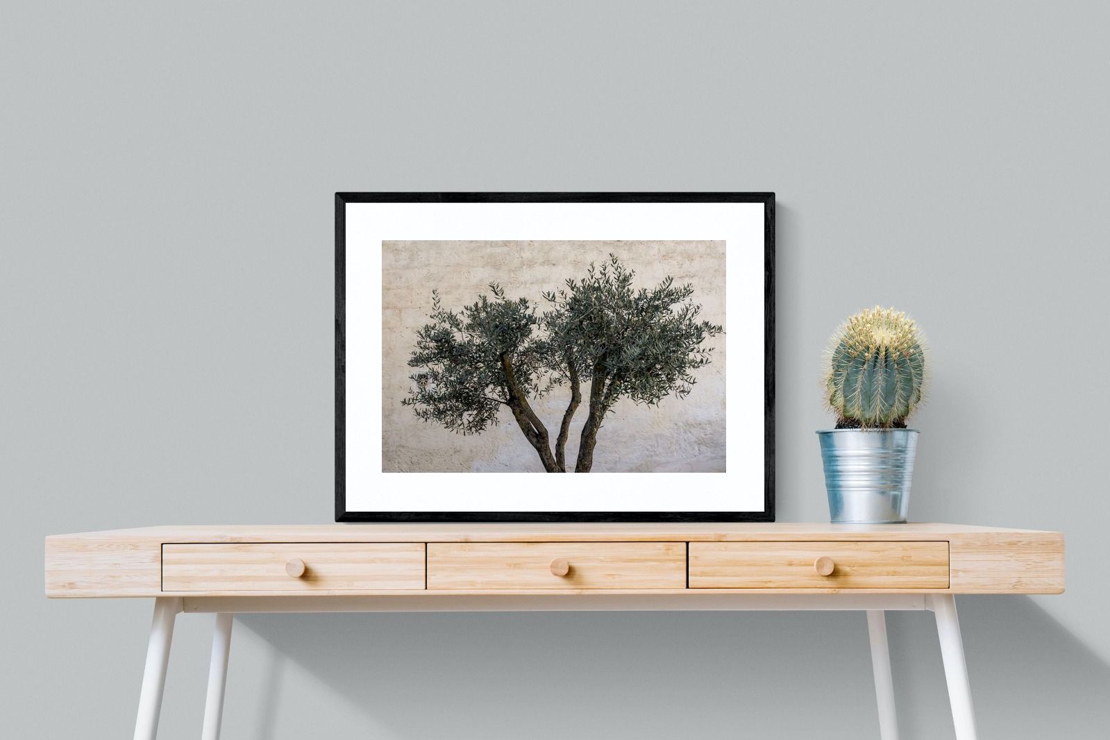Pixalot Olive Trees Pair