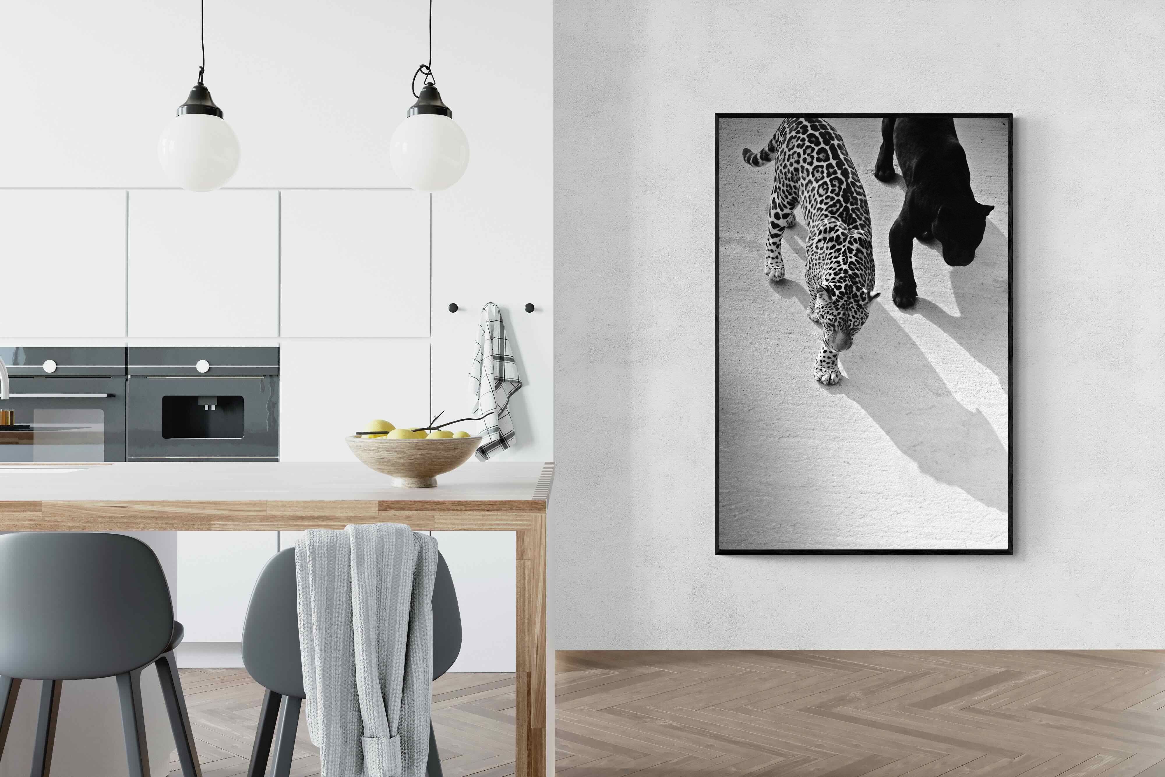 Pixalot On The Prowl